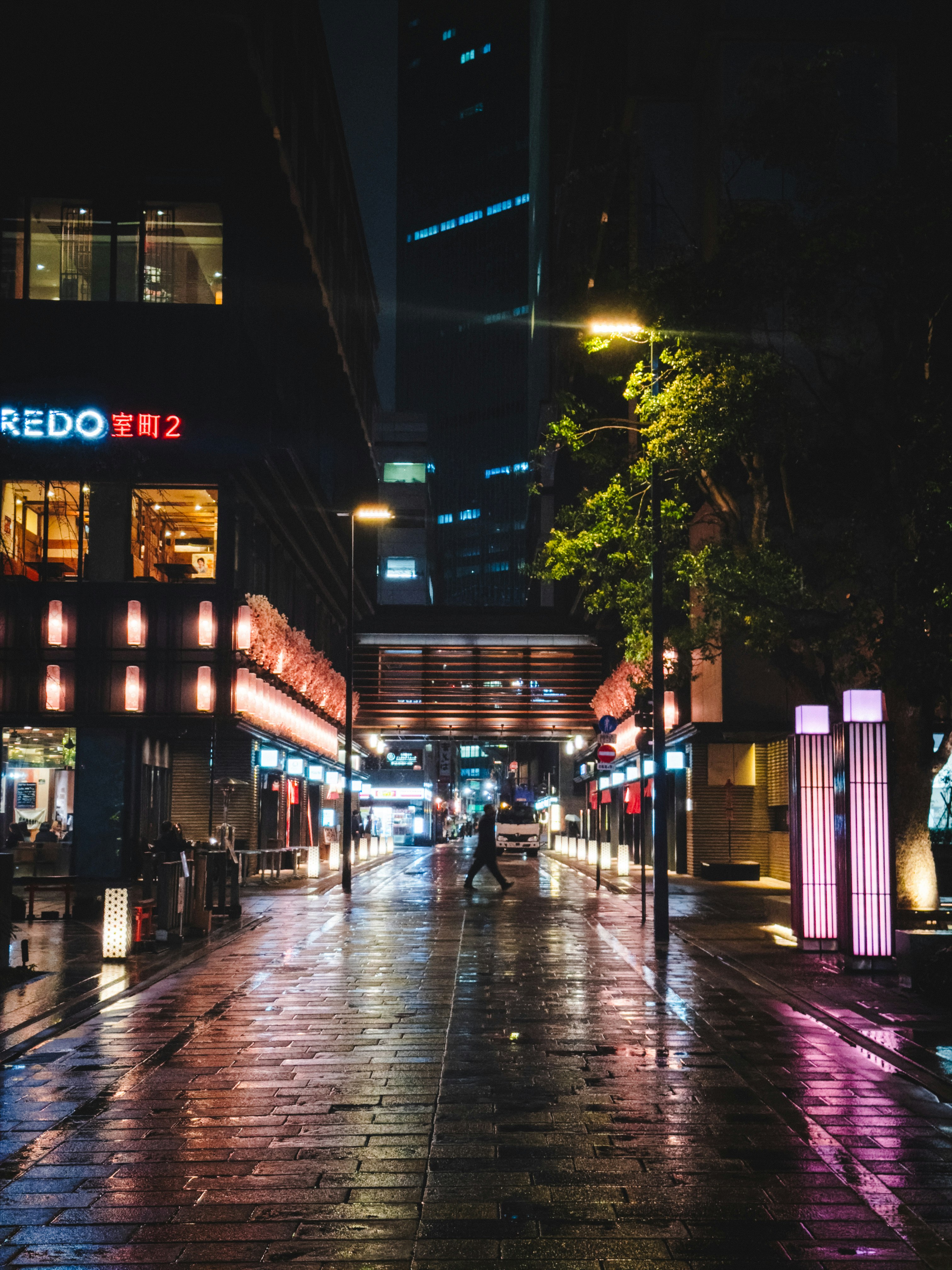 ถนนยามค่ำคืนที่เปียกฝน มีไฟนีออนเรียงราย