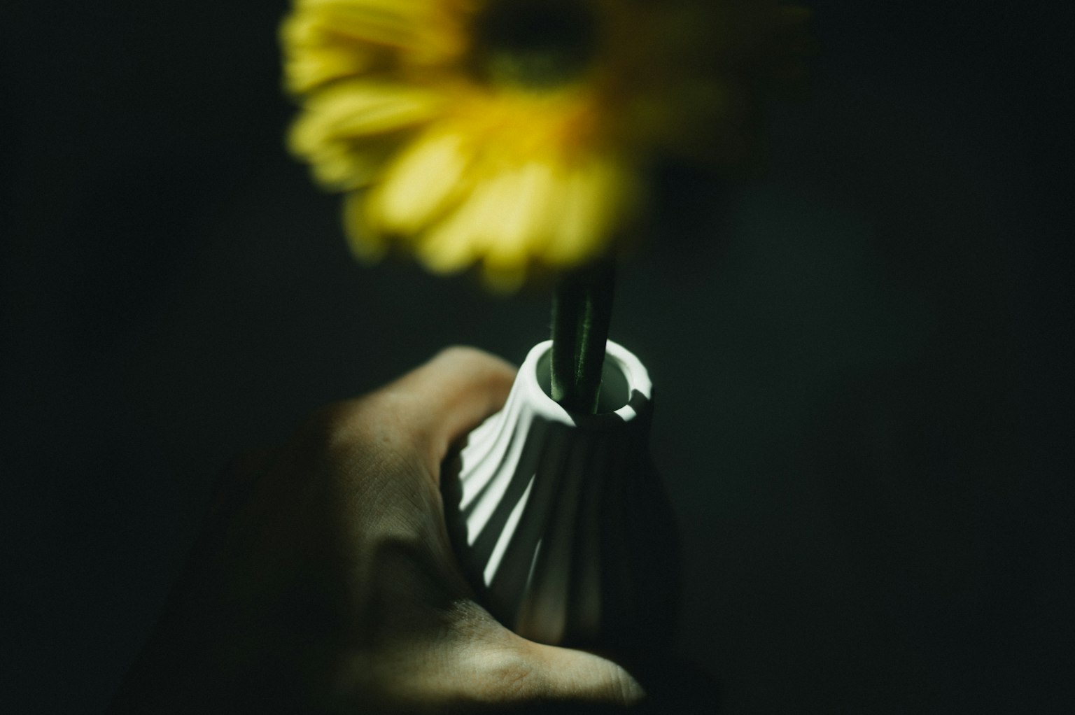 Primo piano di una mano che tiene un vaso bianco con un fiore giallo