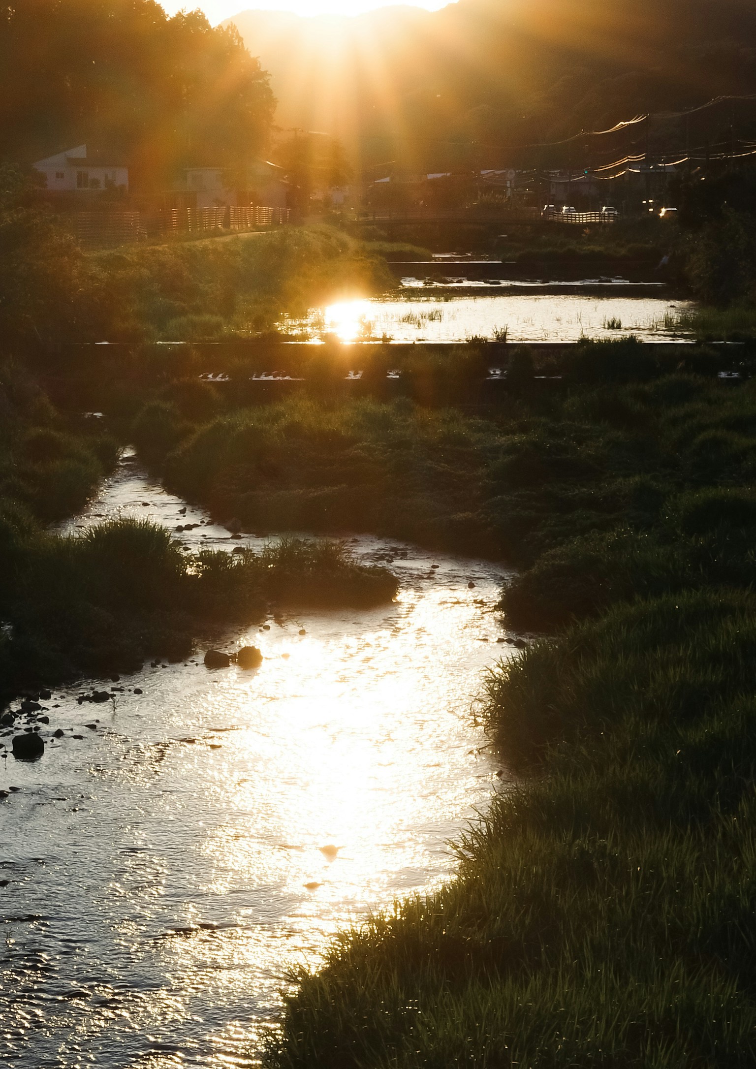 Scenic view of sunset reflecting on a river with green grass and calm water