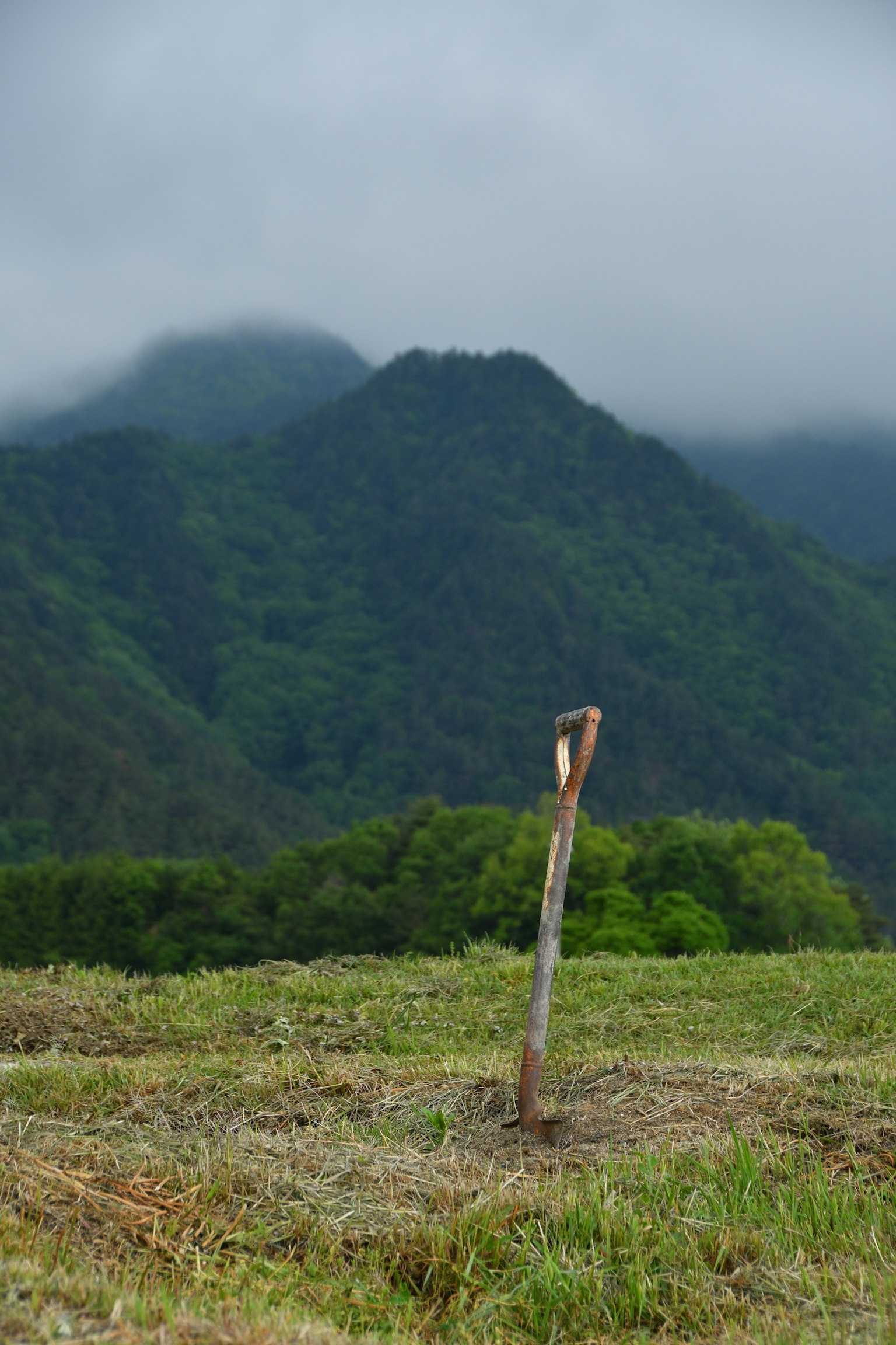 Un palo de madera de pie en un campo verde con montañas brumosas al fondo