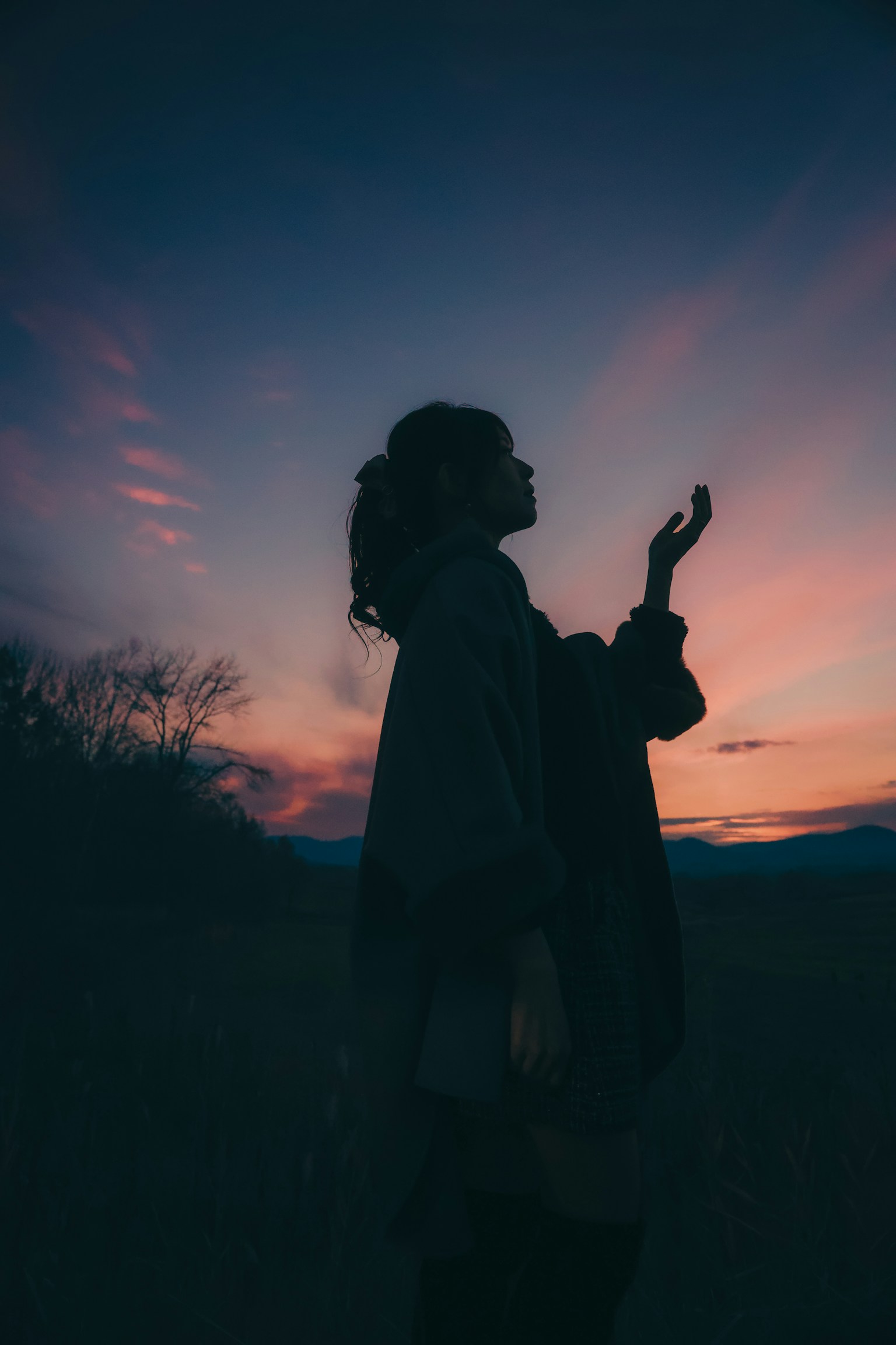 photo-XqkSE3hH8pbF1VG6zkp4-image