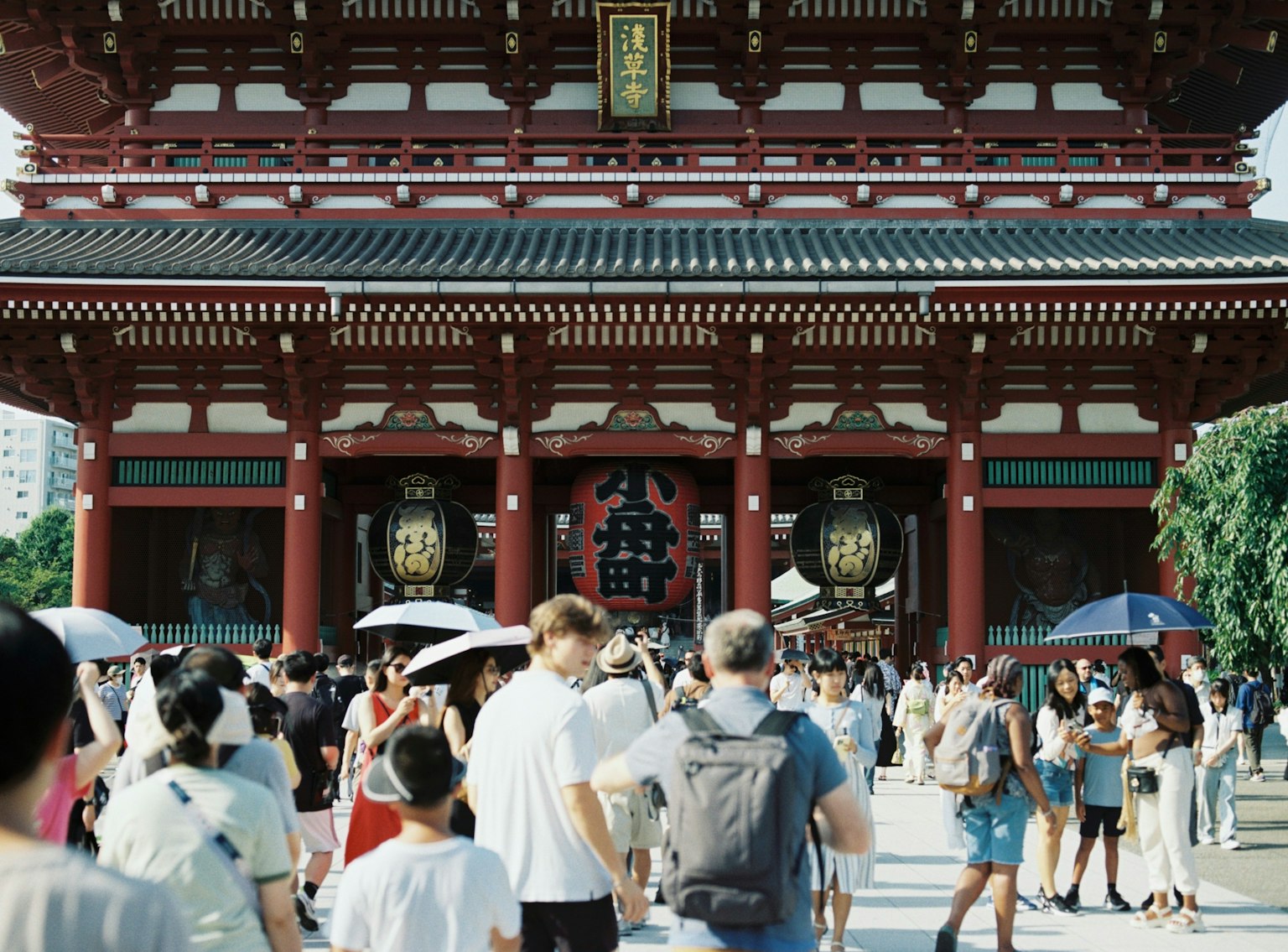photo-Xqr6ioyAsnv4hcYngrQ5-image