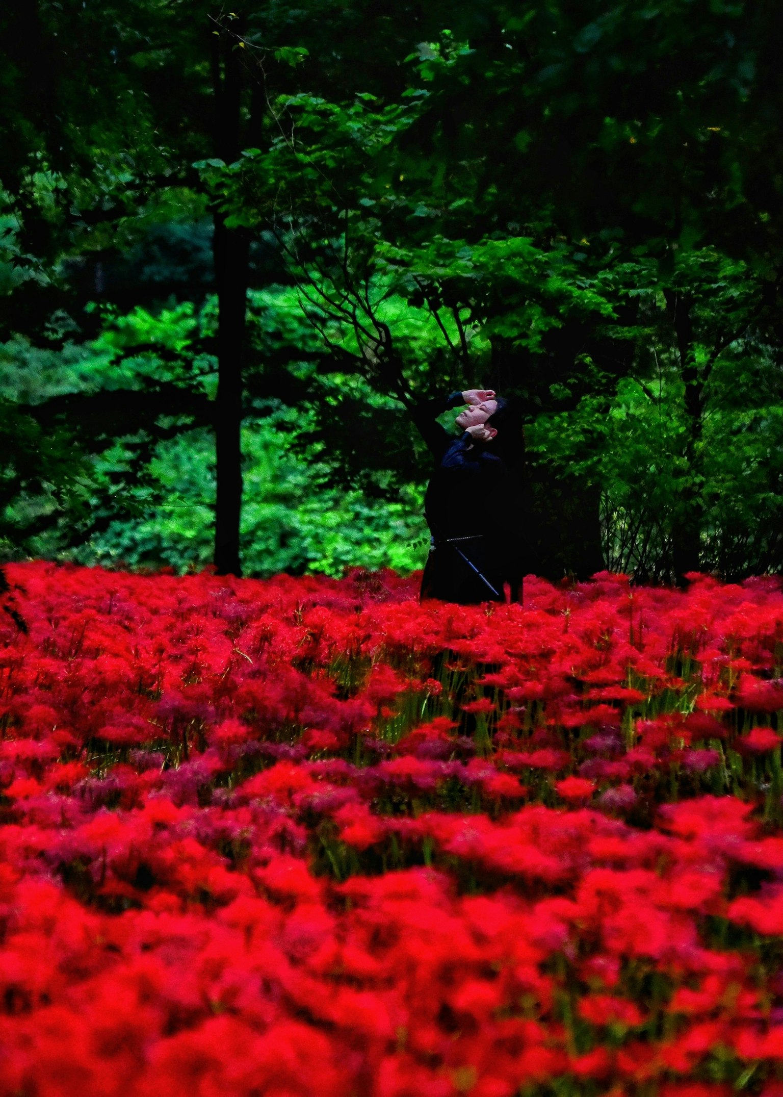 Una persona vestida de negro está de pie en un hermoso paisaje lleno de flores rojas