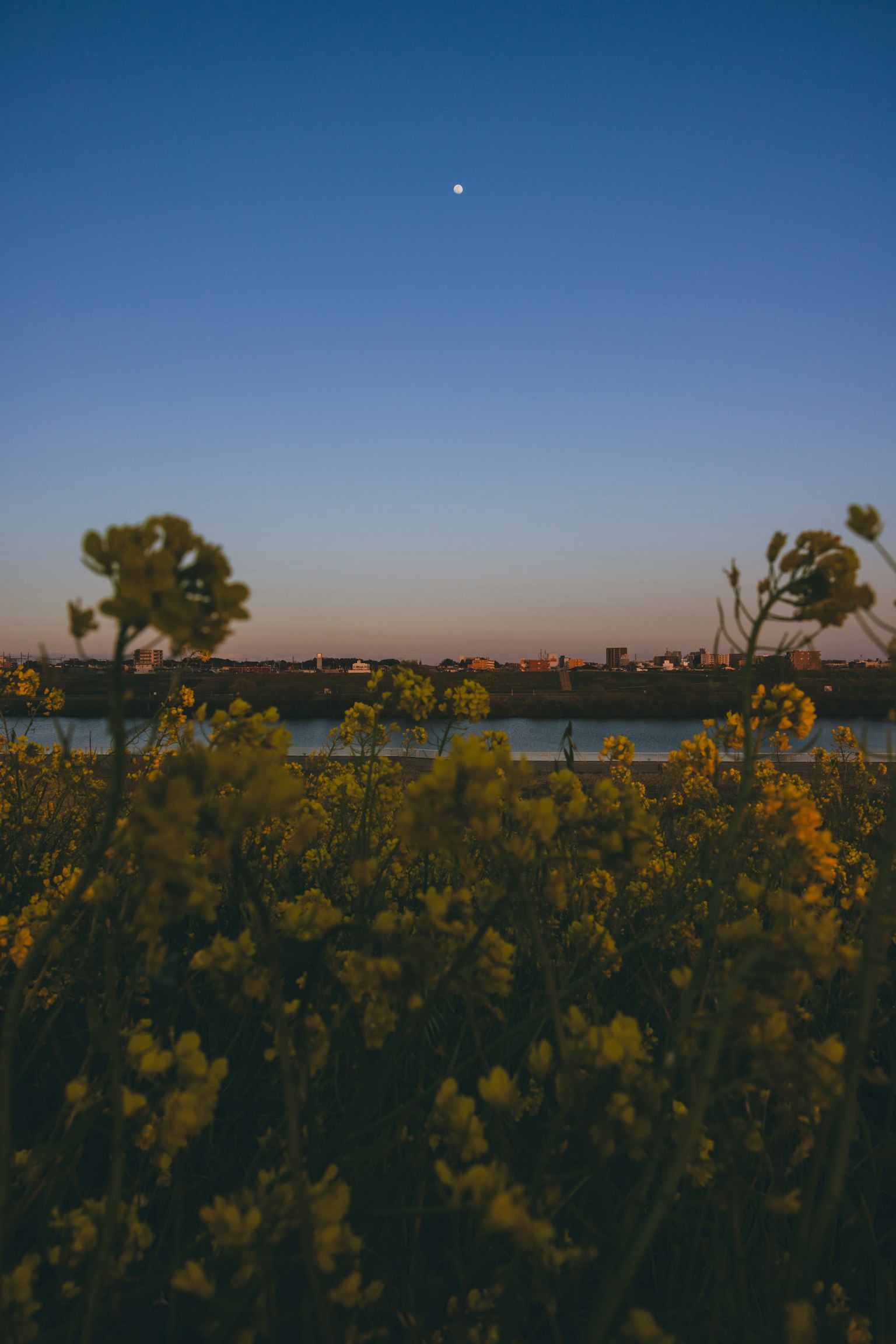 photo-XrJEekxqBwmvnqv8jn2c-image