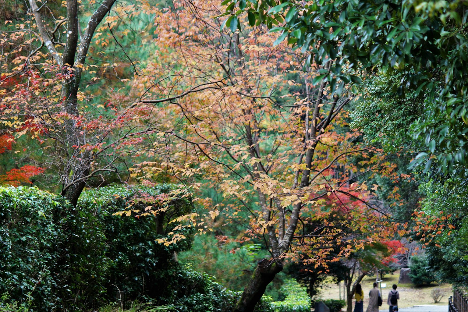 Herbstszene mit bunten Bäumen und Spaziergängern