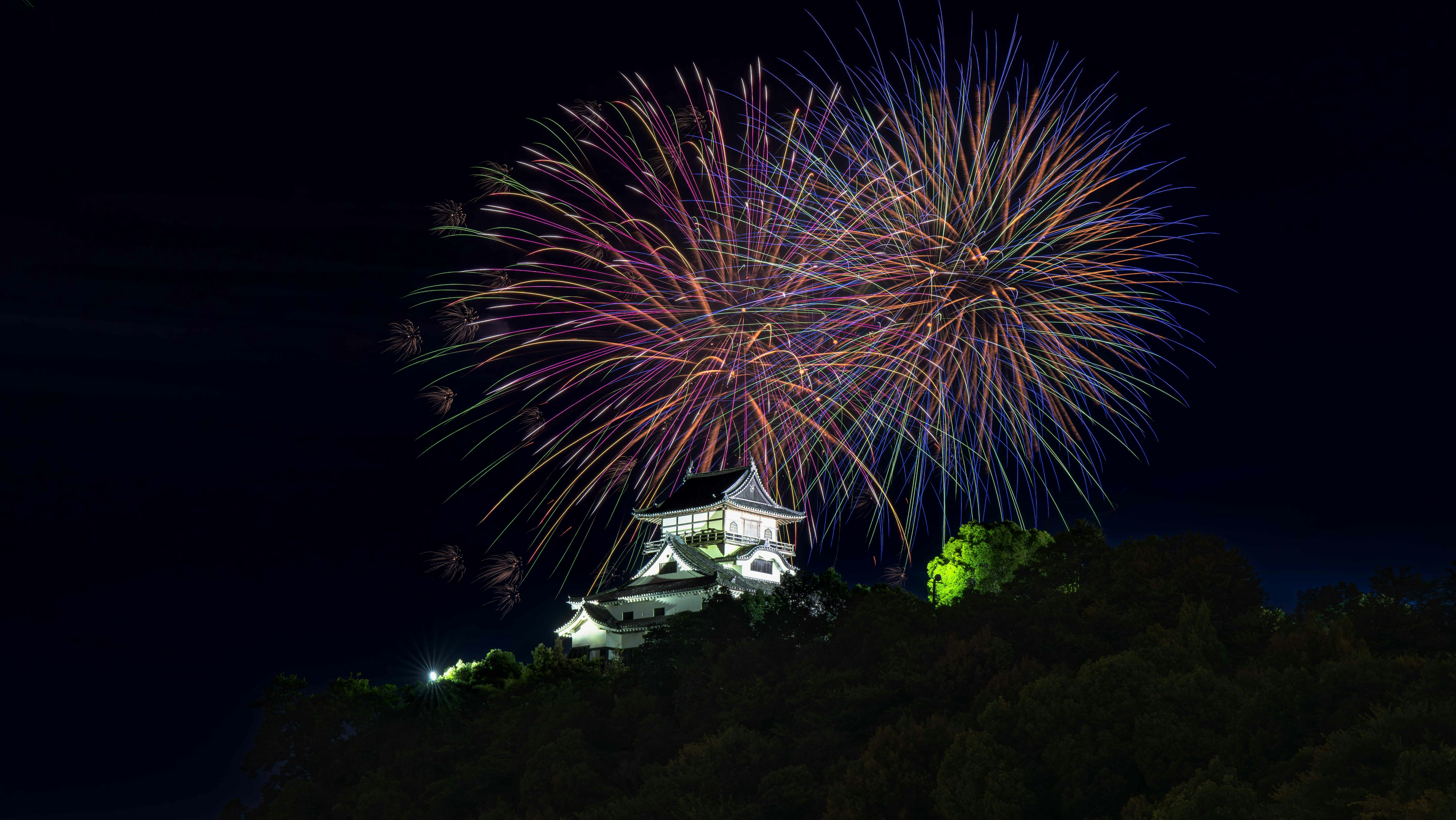 fuochi d’artificio nel cielo notturno sopra un’area boscosa