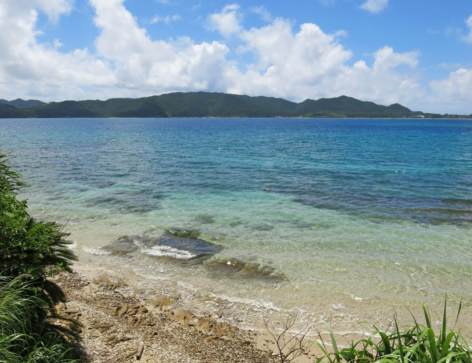 Pemandangan laut biru dan pantai berpasir dikelilingi tanaman hijau