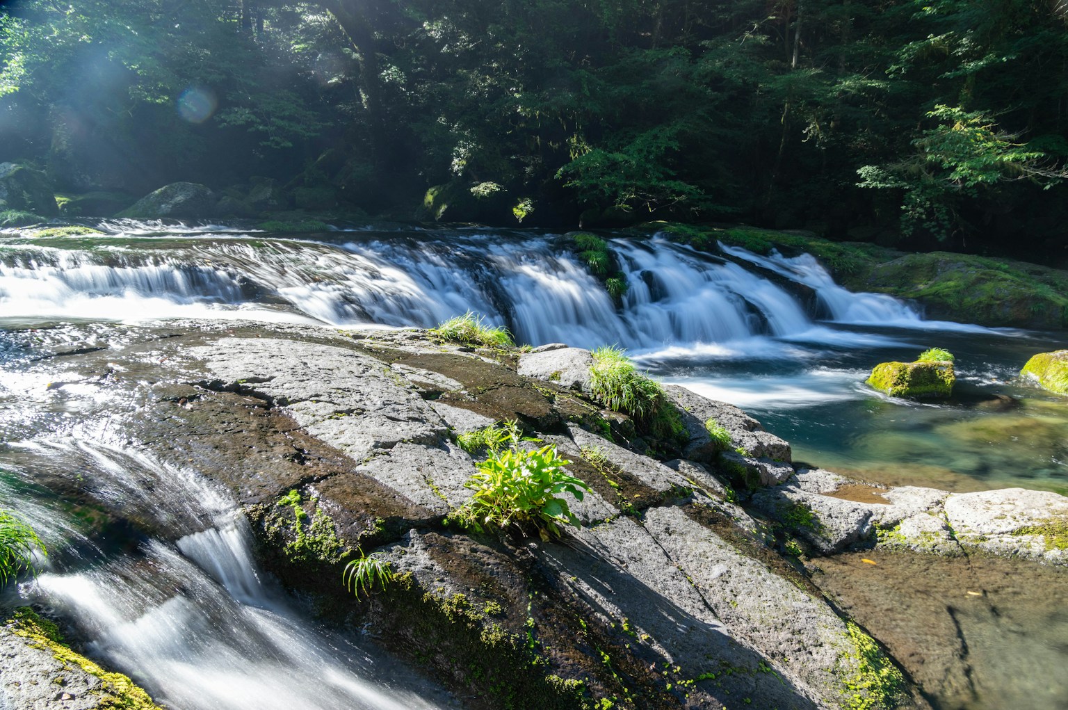Un ruisseau coulant avec des rochers lisses et une végétation luxuriante