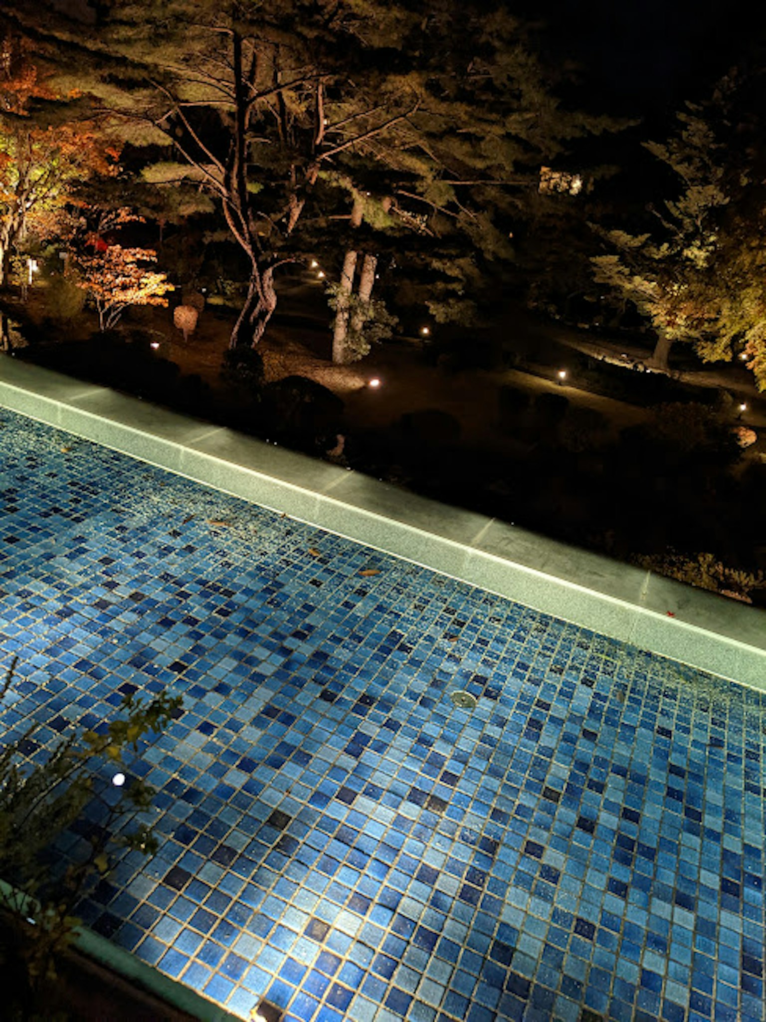 Nachtsicht eines blauen gefliesten Pools mit umliegenden Pflanzen in einem Garten