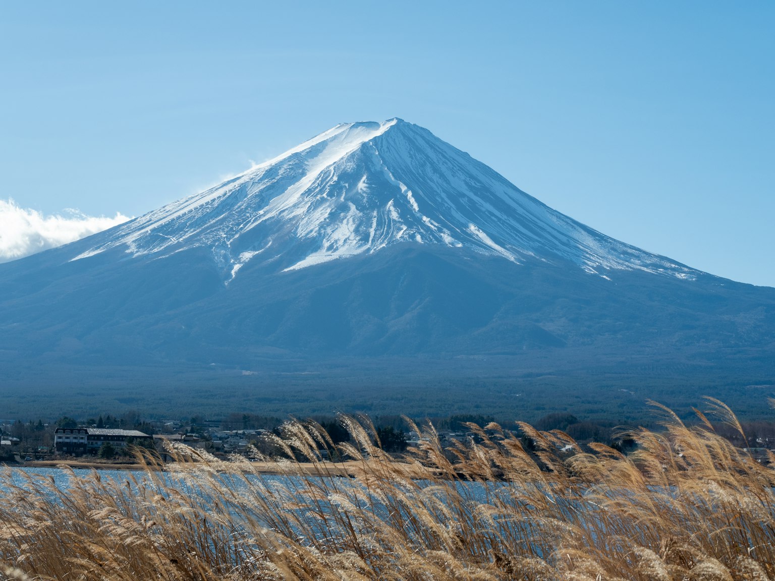Snow-capped Mount Fuji with foreground grass