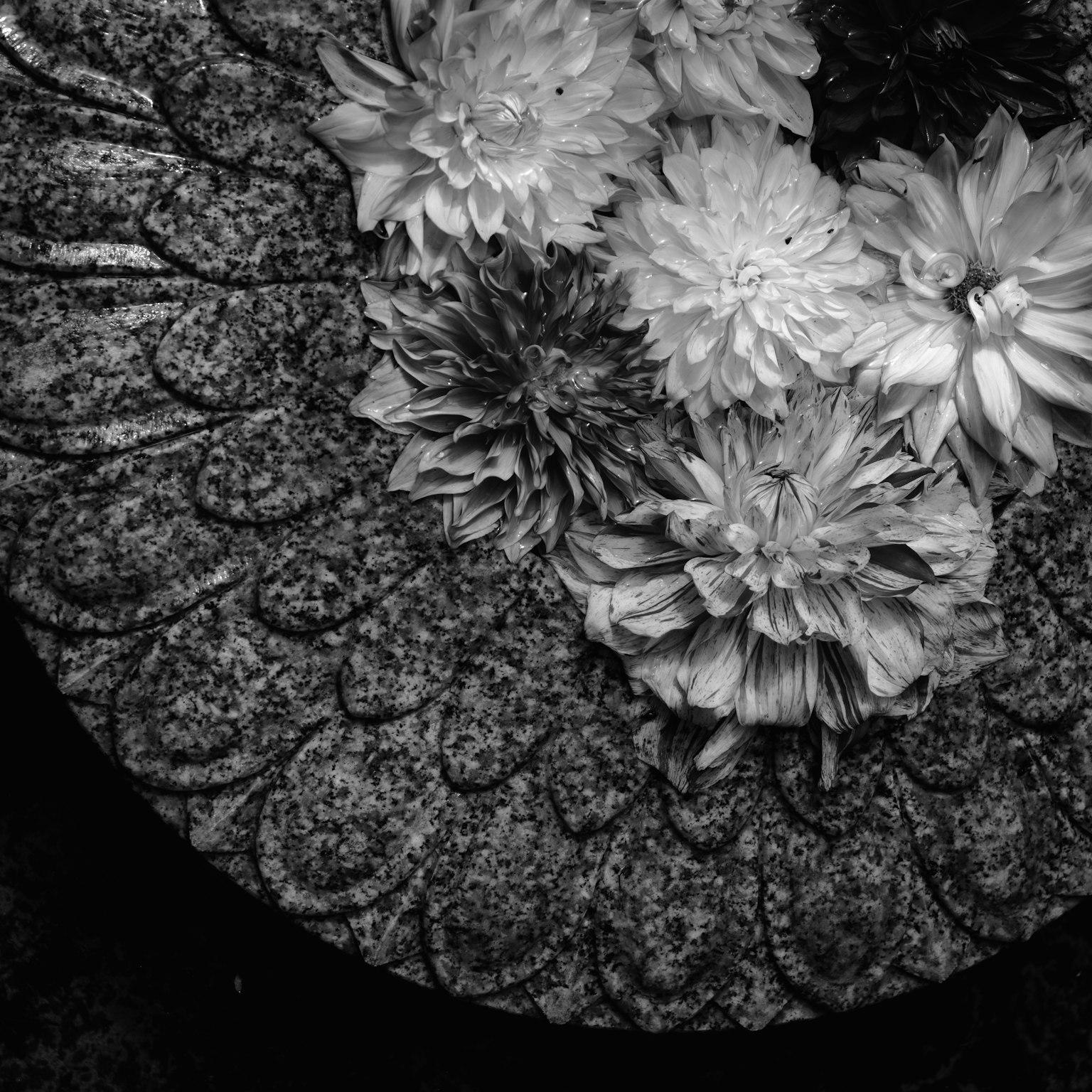 Schönes Design einer Steinschale mit weißen Blumen darauf