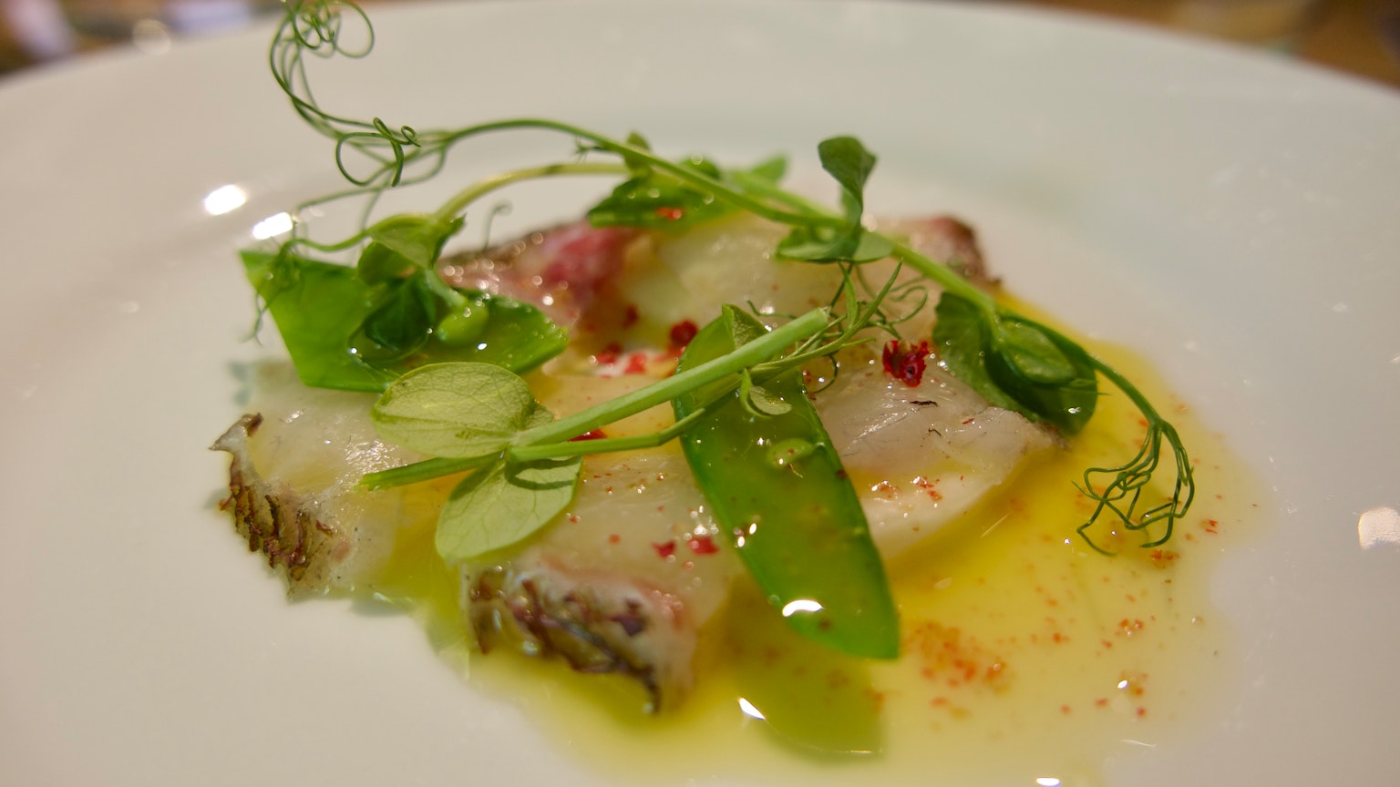 新鮮魚片上點綴綠色香草並淋上橄欖油