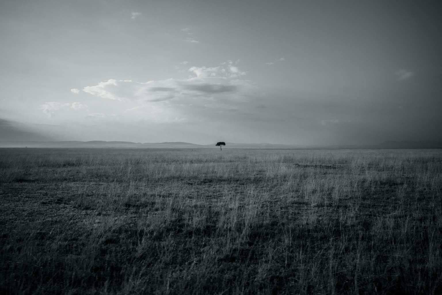 Kotak abu-abu sederhana di latar belakang gelap
