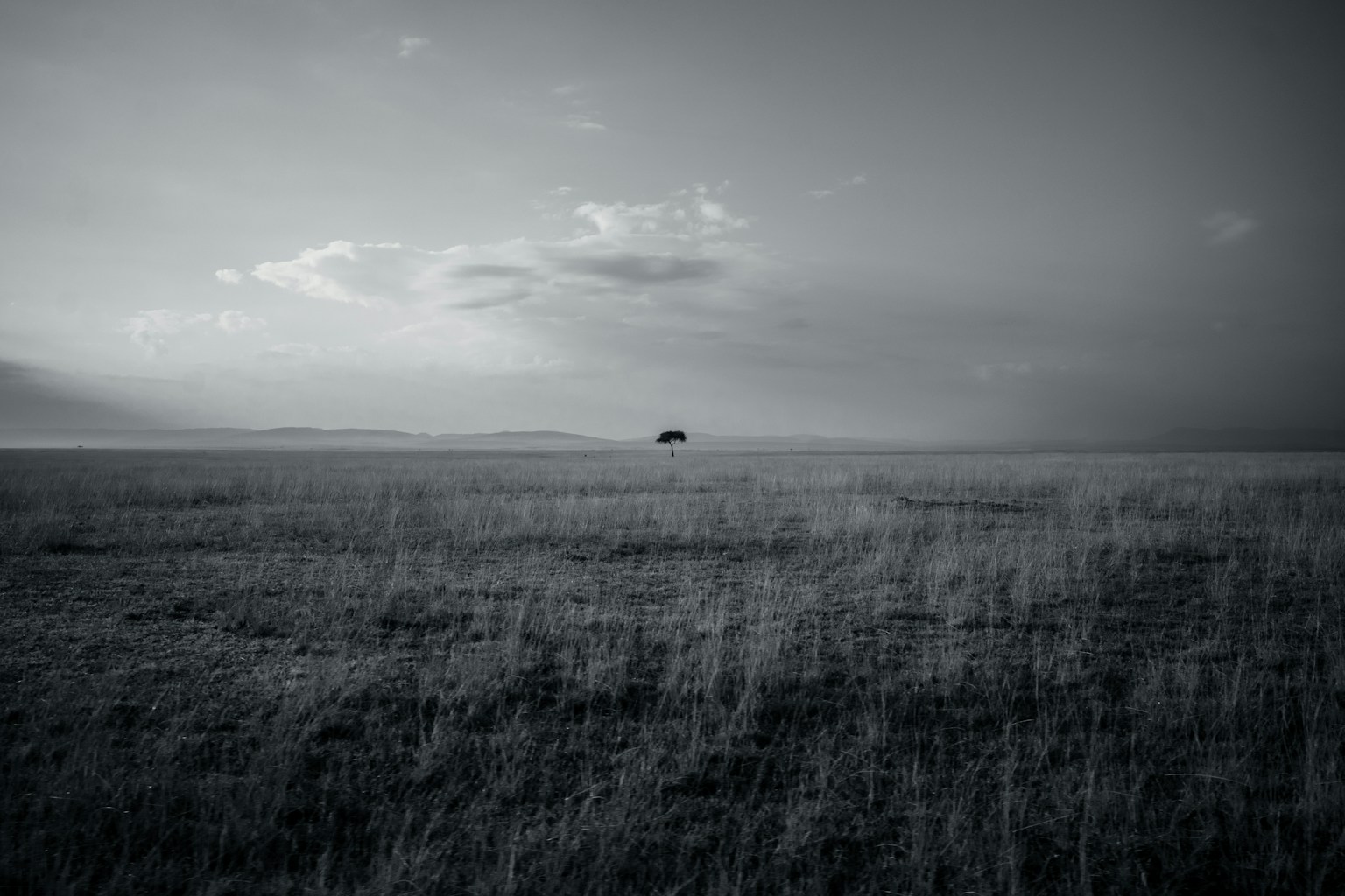 Kotak abu-abu sederhana di latar belakang gelap