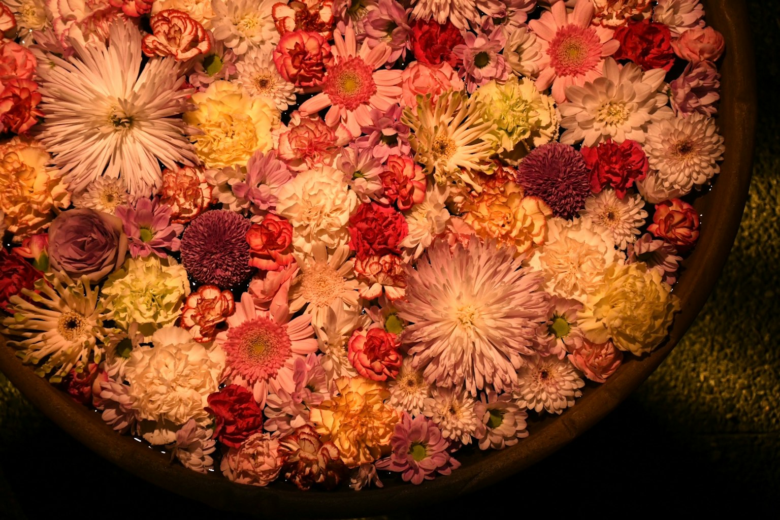 從上方看一個裝滿漂浮花朵的碗