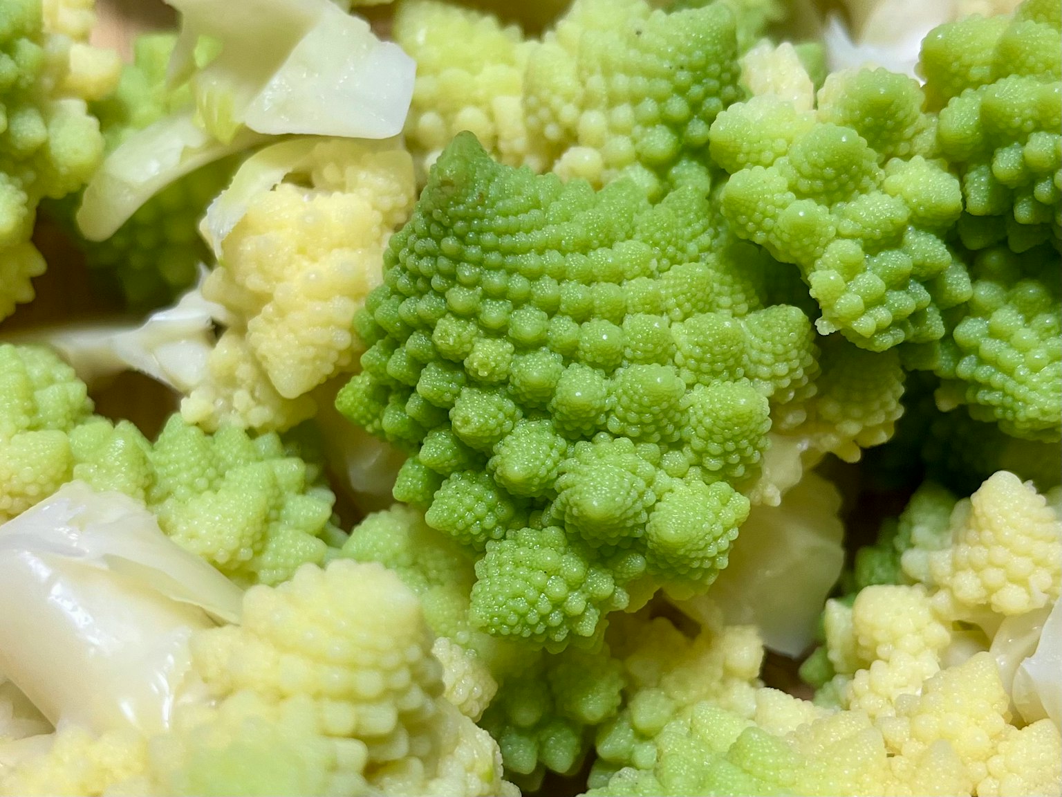 罗马花椰菜特写绿色和奶油色花蕾