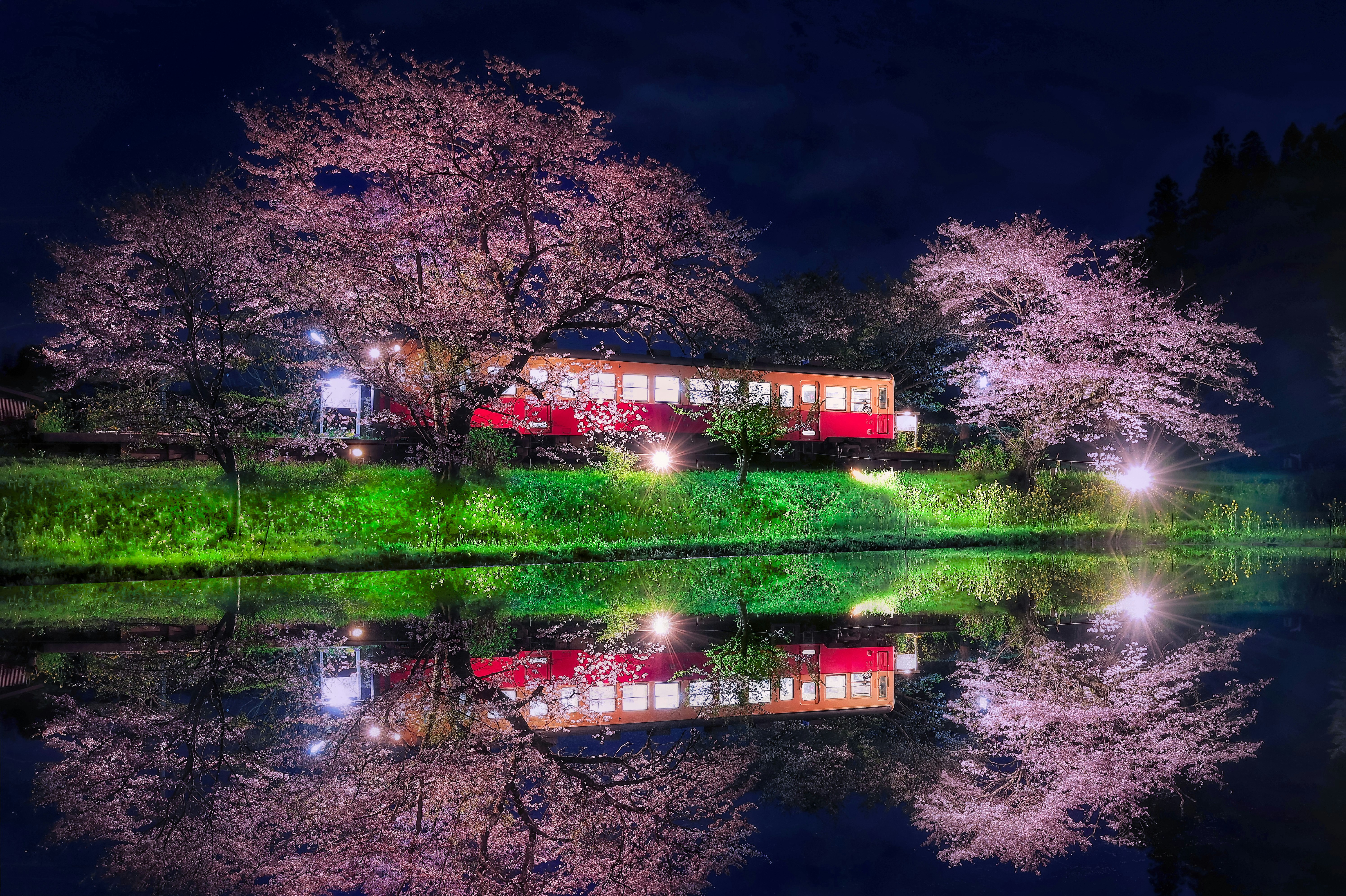 幻想的な夜の桜並木と水面に映る列車のある風景