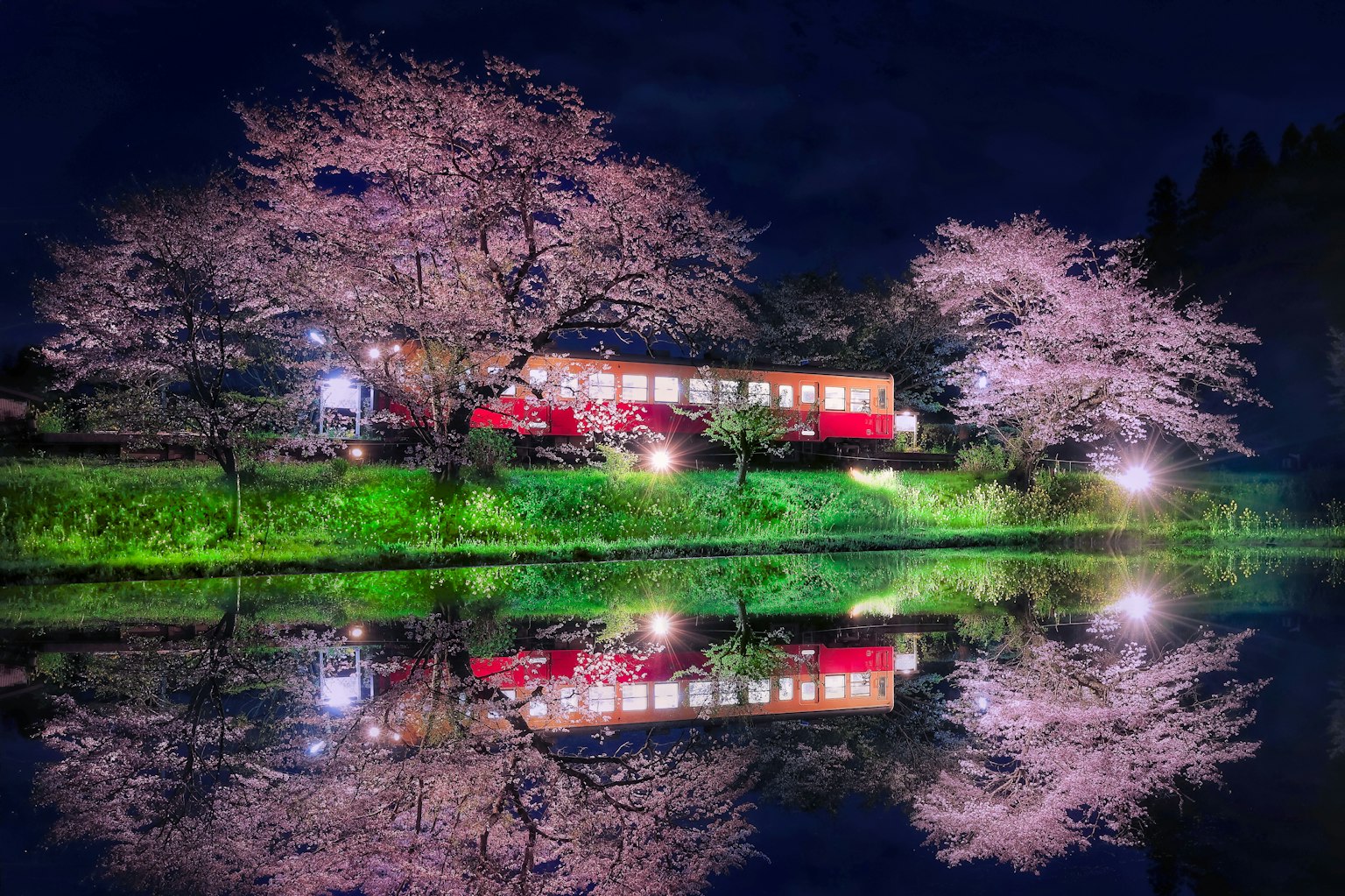 Vista serena de un lago con cerezos y un tren de noche