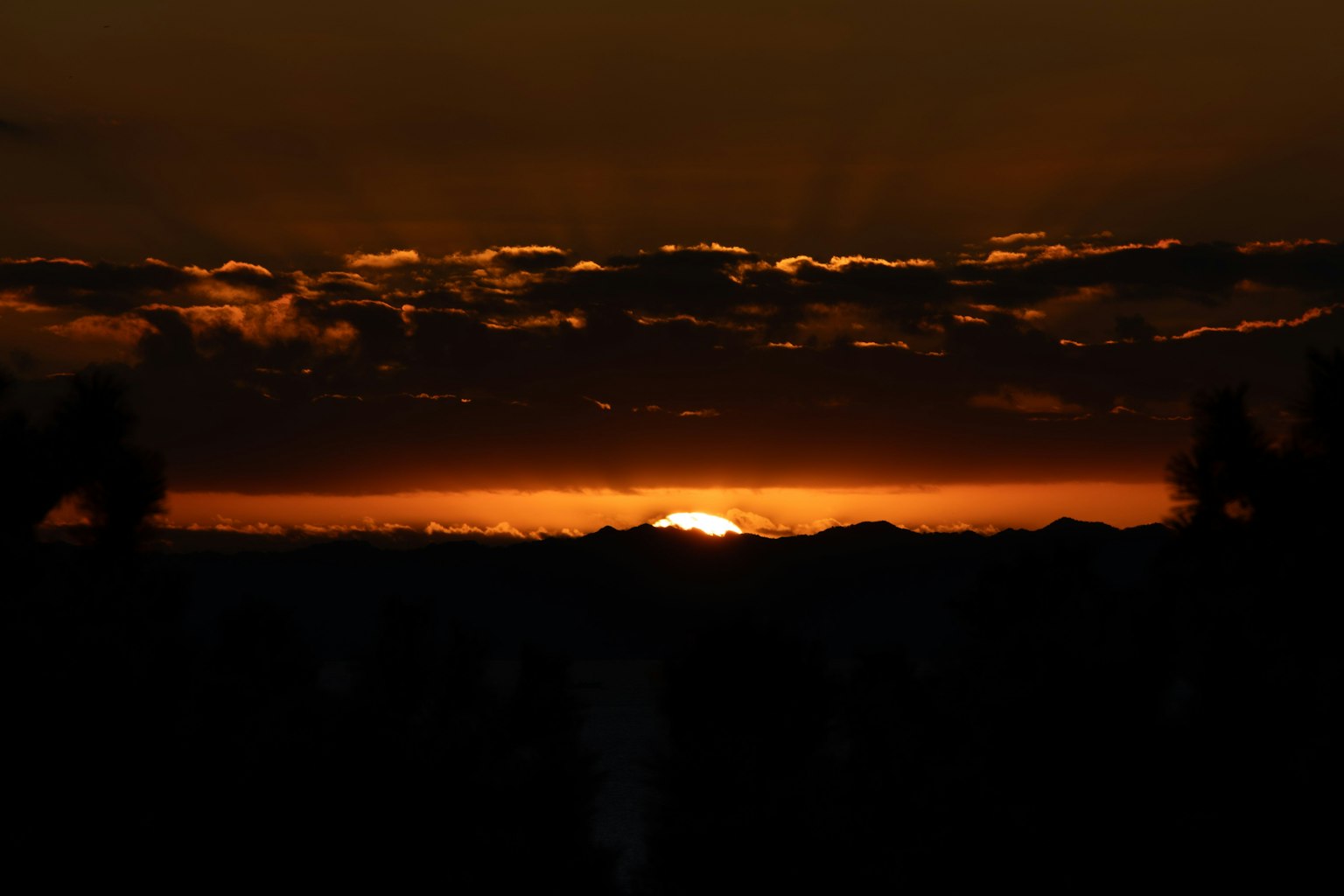 Beautiful sunset landscape with silhouetted trees and an orange sky