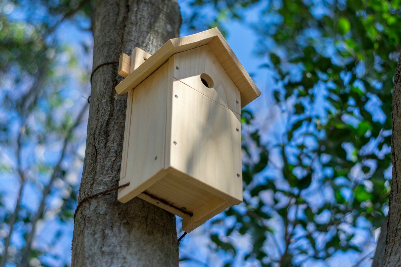 Einfaches Vogelhaus an einem Baum Befindet sich vor blauem Himmel und grünen Blättern