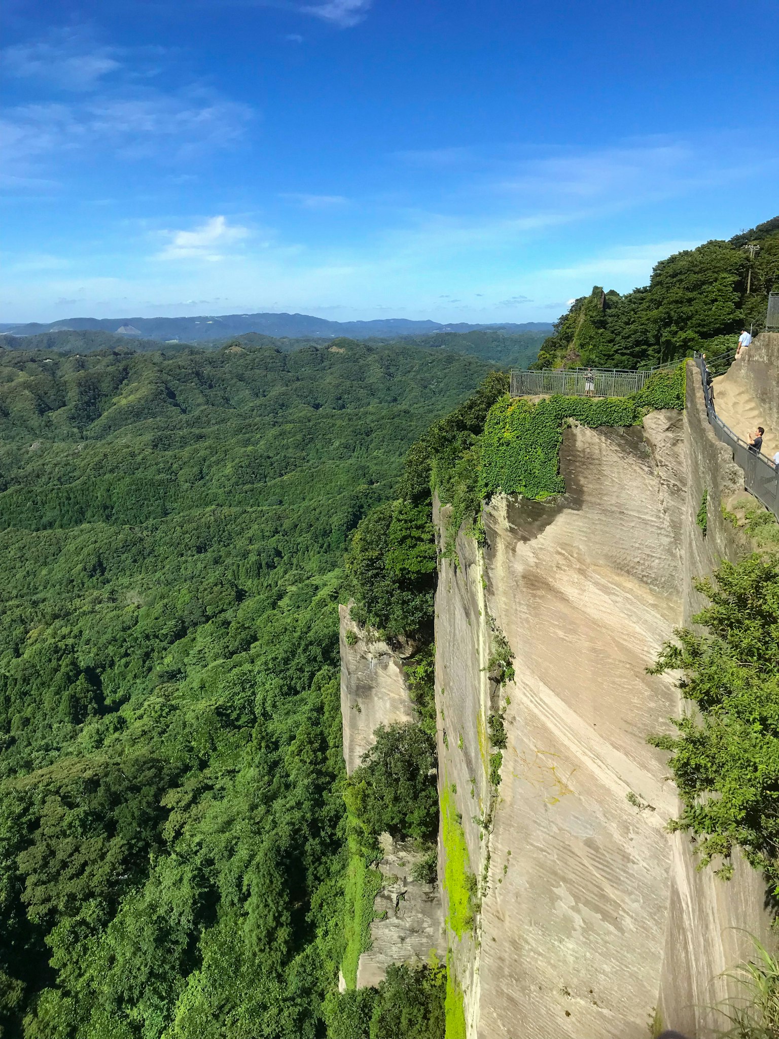 悬崖的风景，背景是郁郁葱葱的山脉