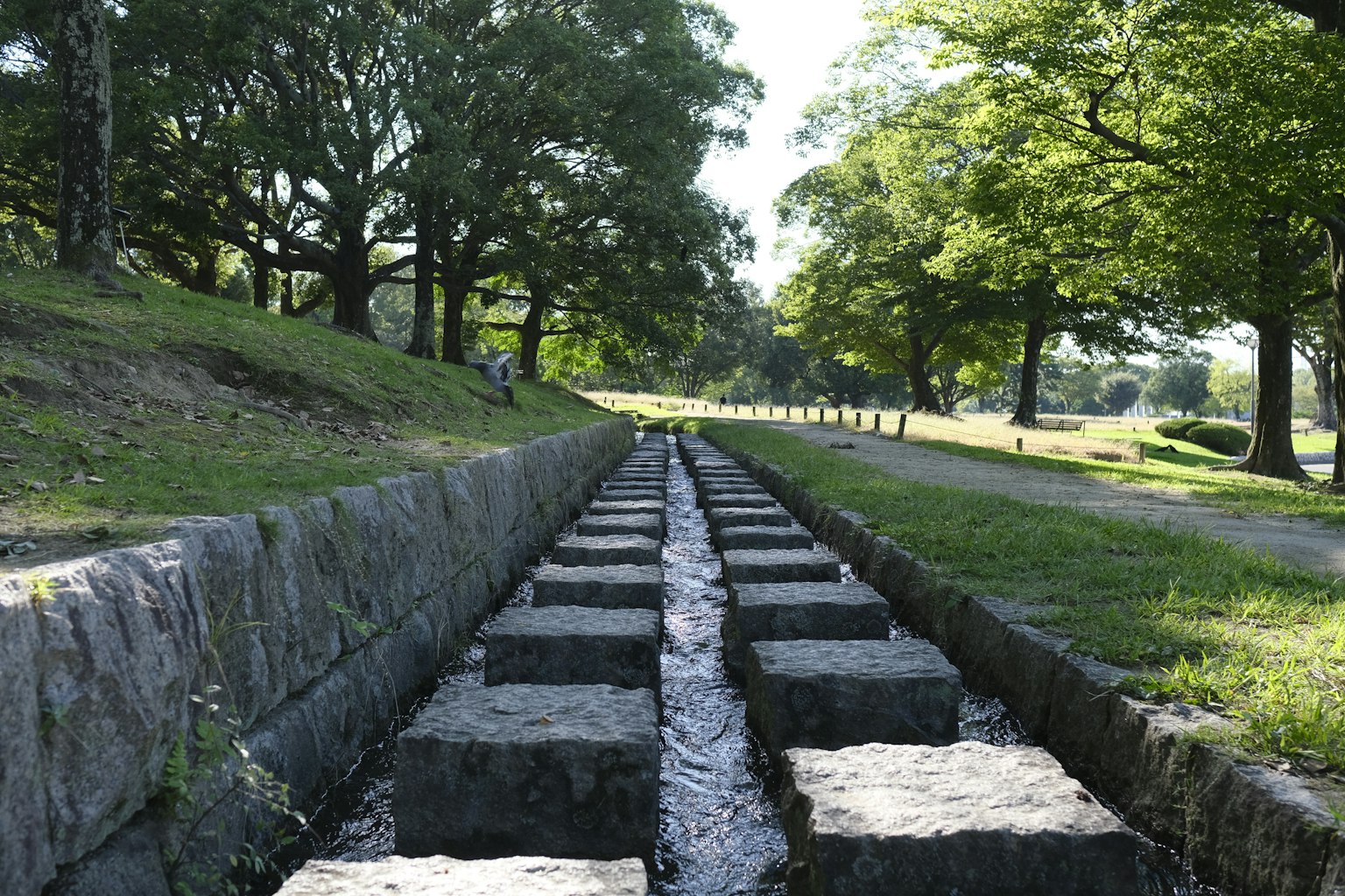 綠樹成蔭的公園景觀，帶有石頭水道