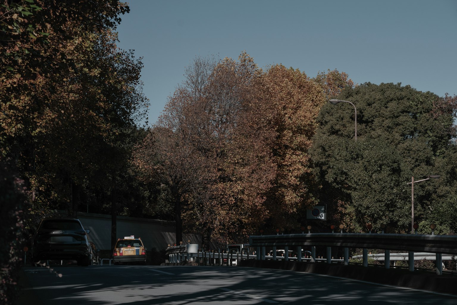 Escena de carretera con follaje otoñal y árboles