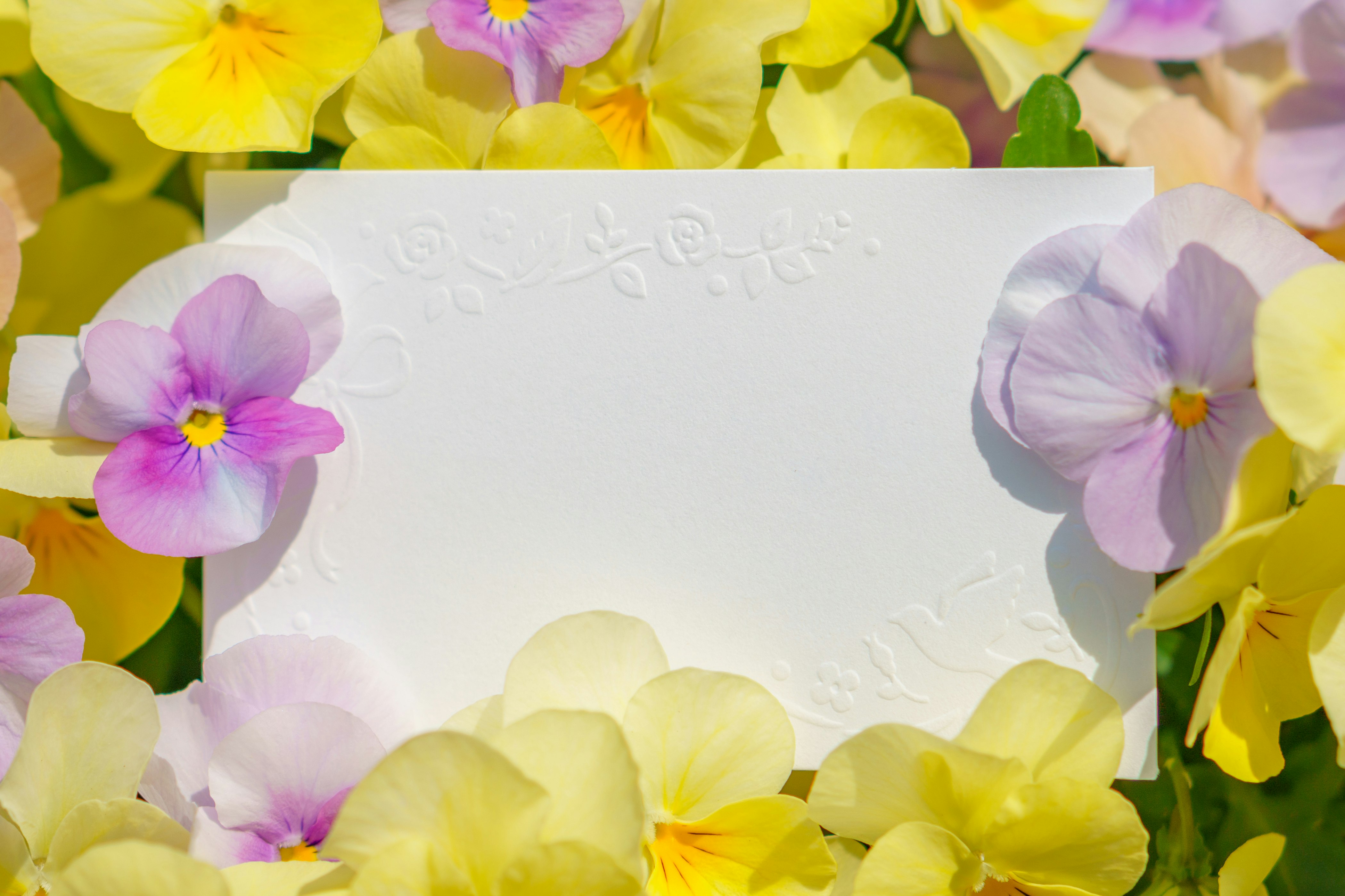 white message card frame surrounded by flower petals