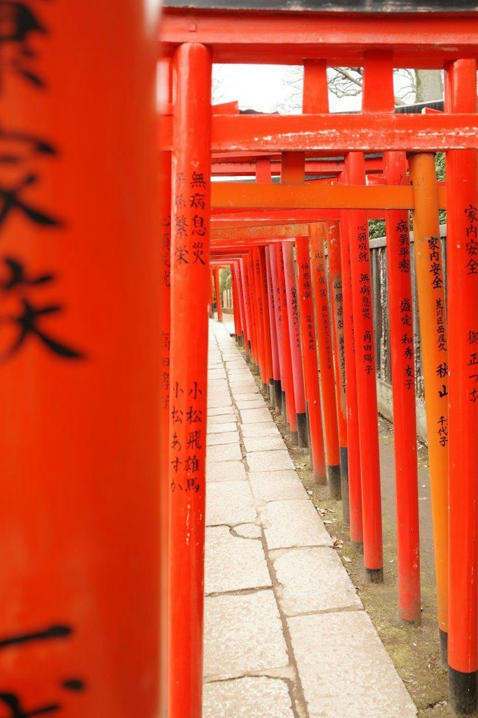 两旁是鲜艳红色的鸟居的道路