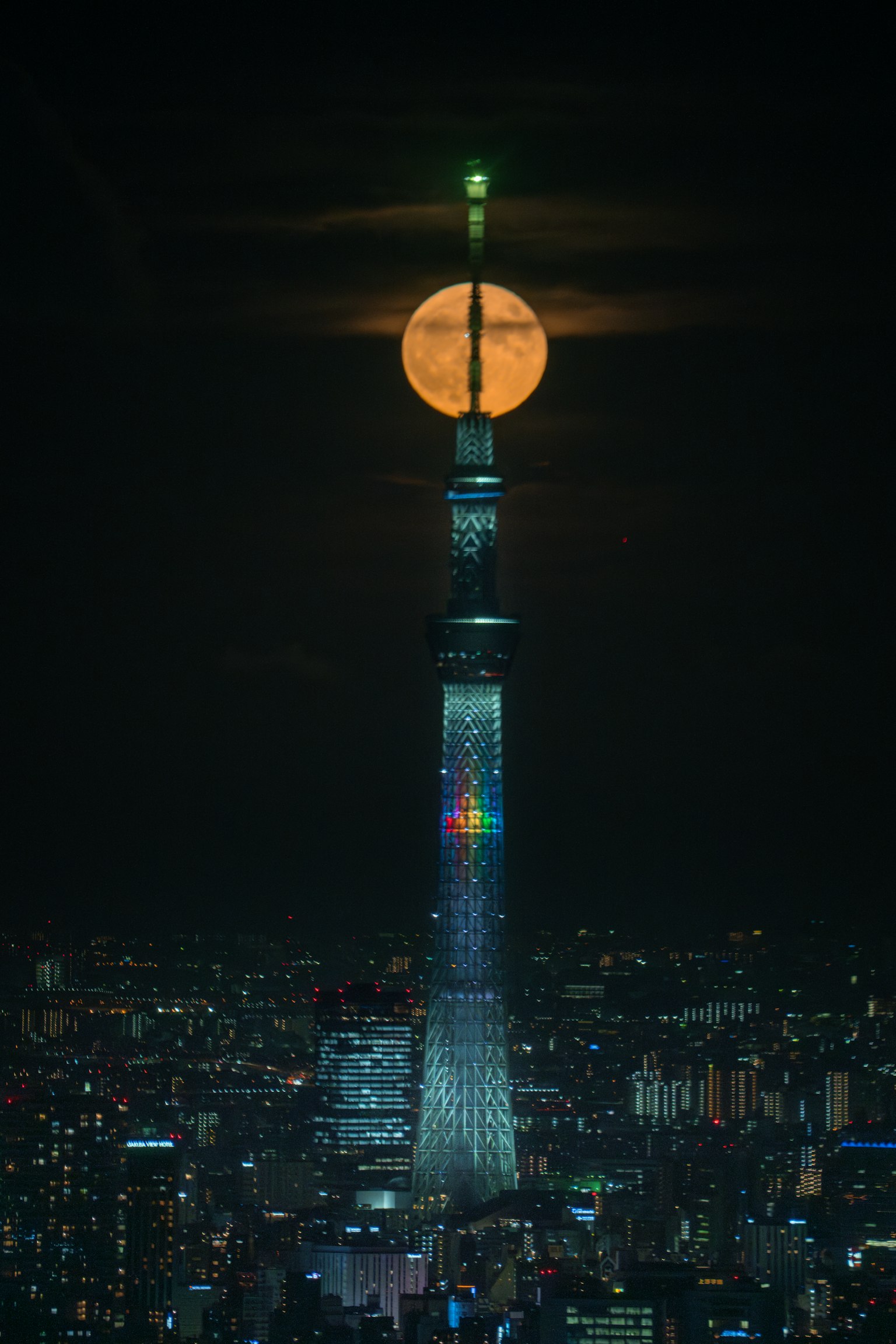photo-Xx6h8bEpcz7hspPcSjId-image