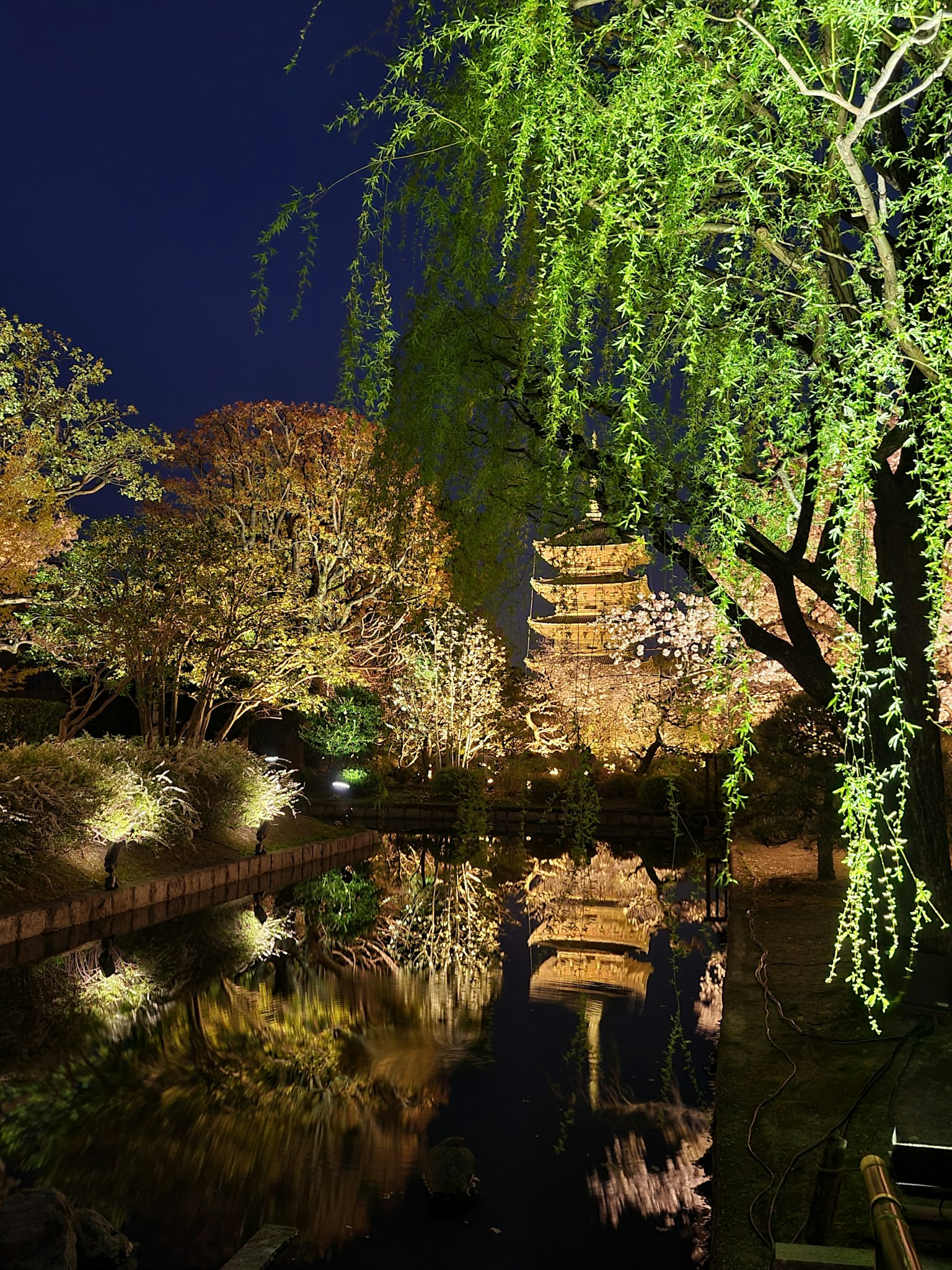 Bellissimo edificio e alberi verdi riflessi in un parco di notte