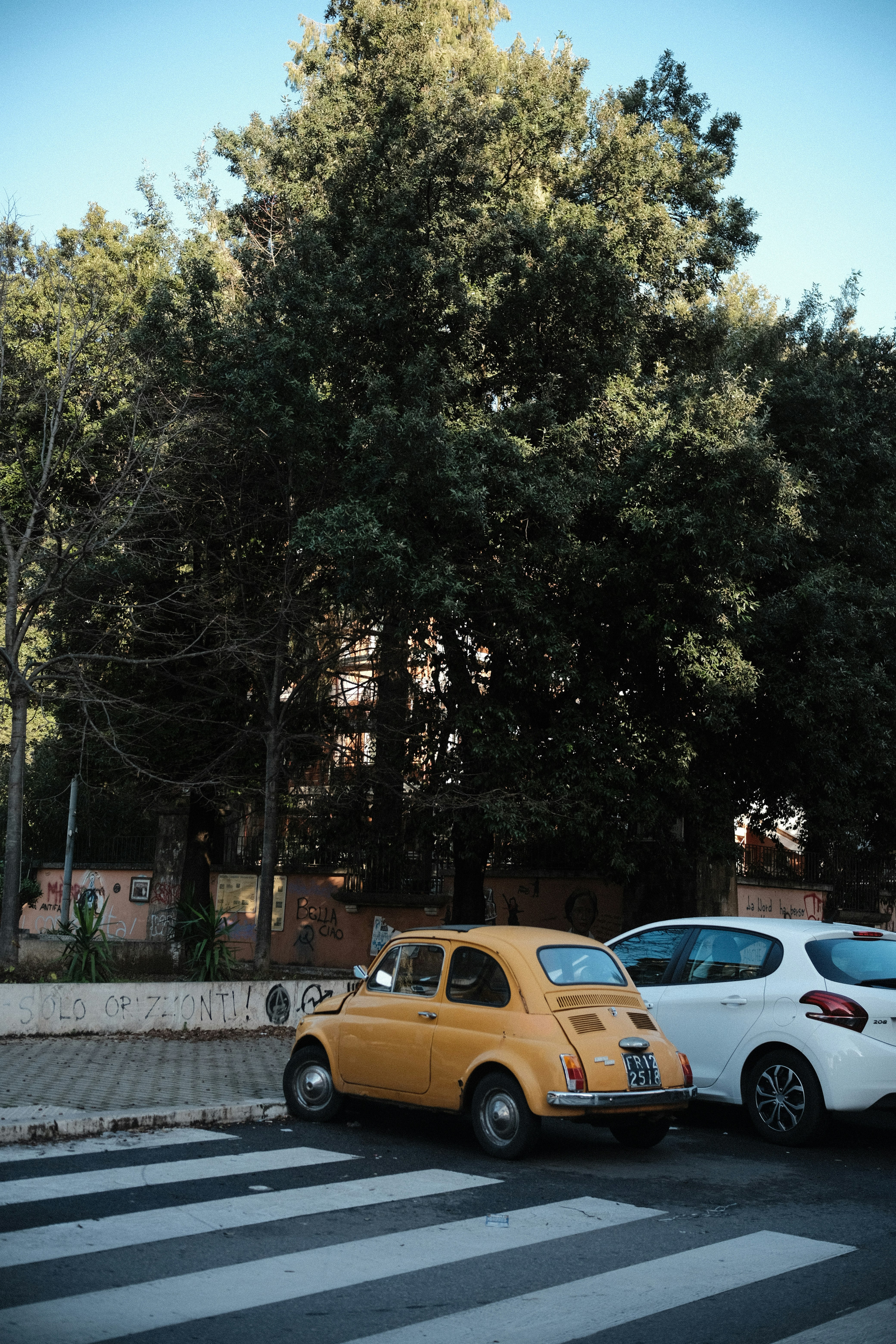 photo-Xxgdb4T2o96L71vPfbVo-image