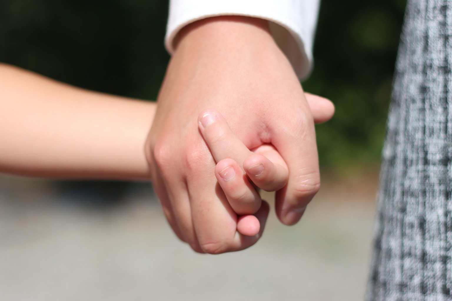 Un momento cálido de un adulto y un niño tomados de la mano