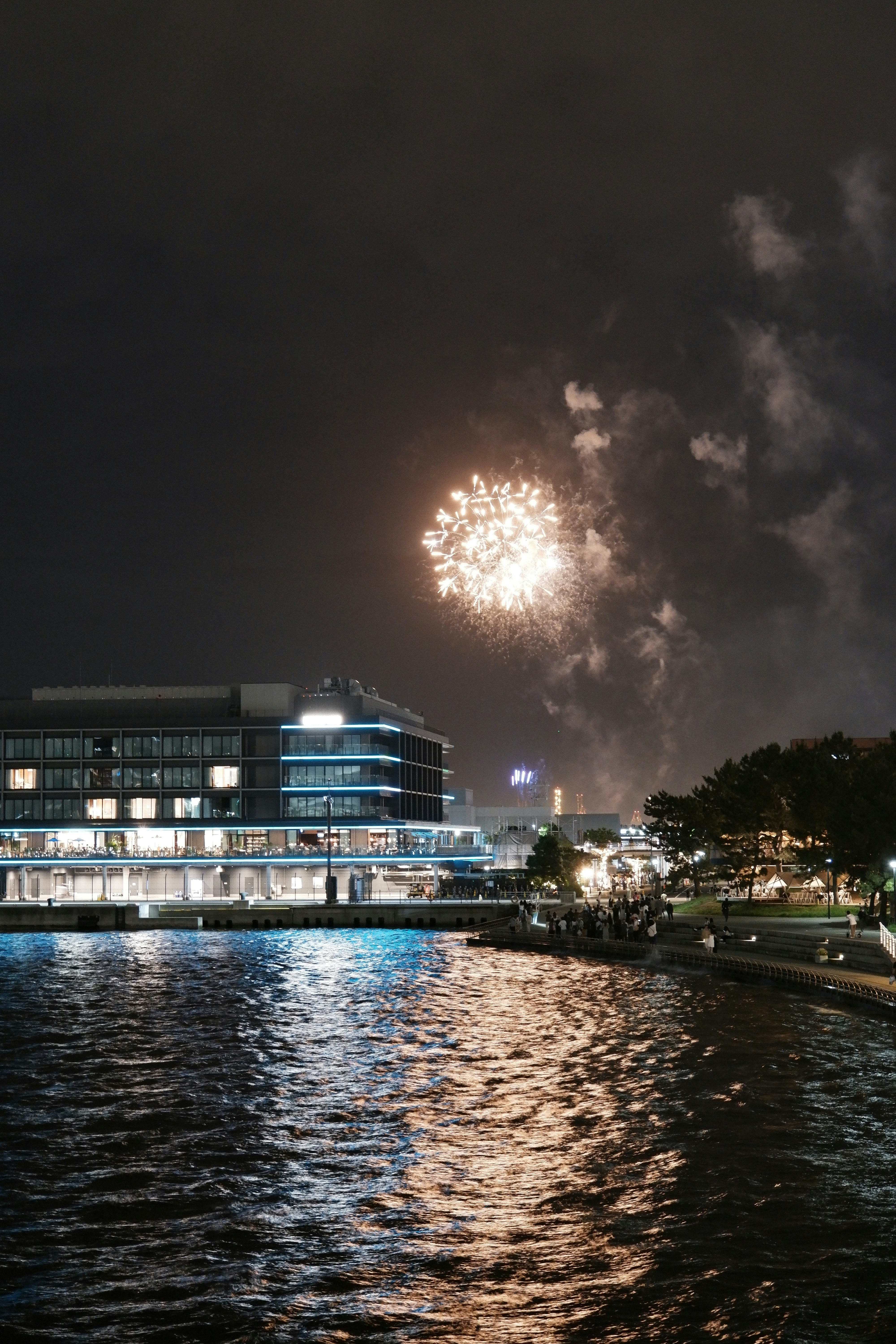河畔飯店一排與夜空煙花