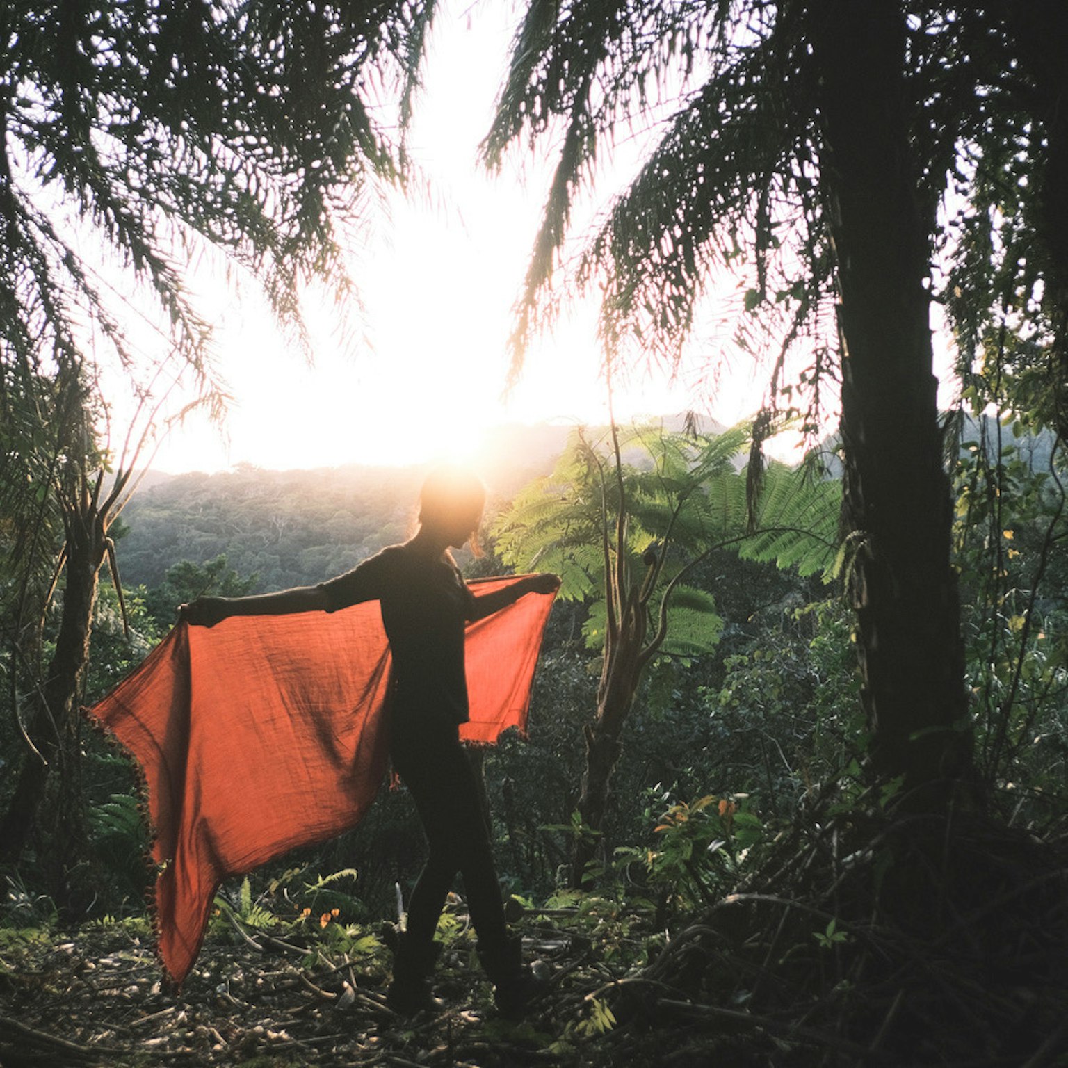 Silhouette di una persona che tiene un tessuto rosso contro un tramonto in una foresta lussureggiante