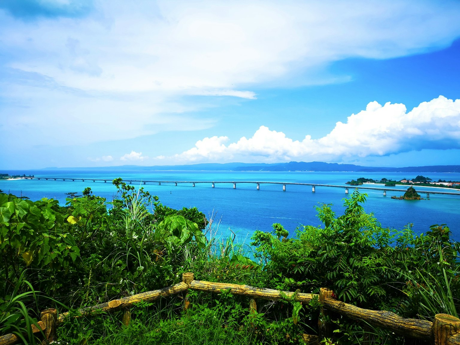 Vista panoramica dell'oceano blu e delle nuvole bianche Fogliame verde in primo piano Ponte visibile in lontananza