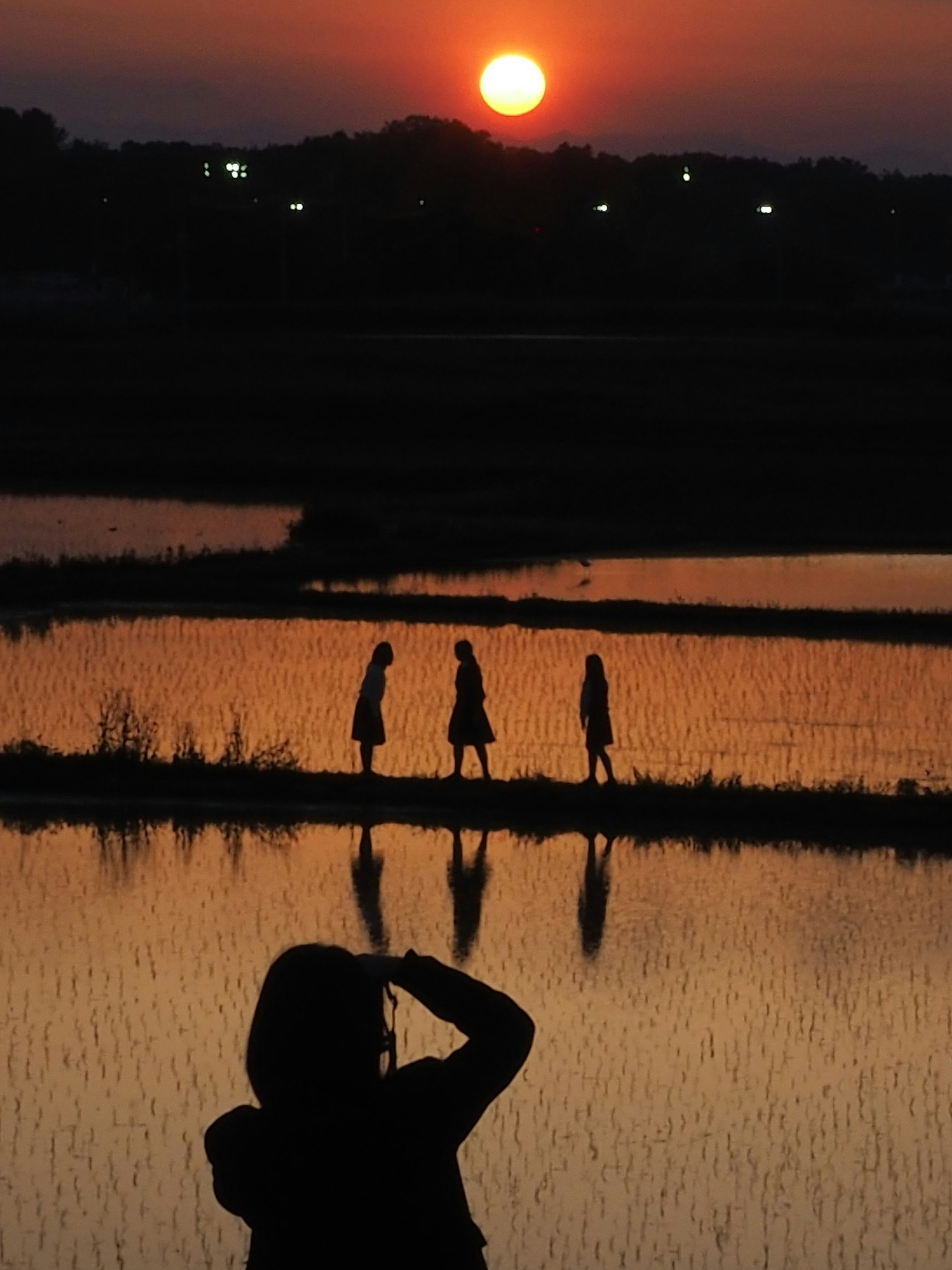 夕焼けの水田と夕陽を見上げる人影