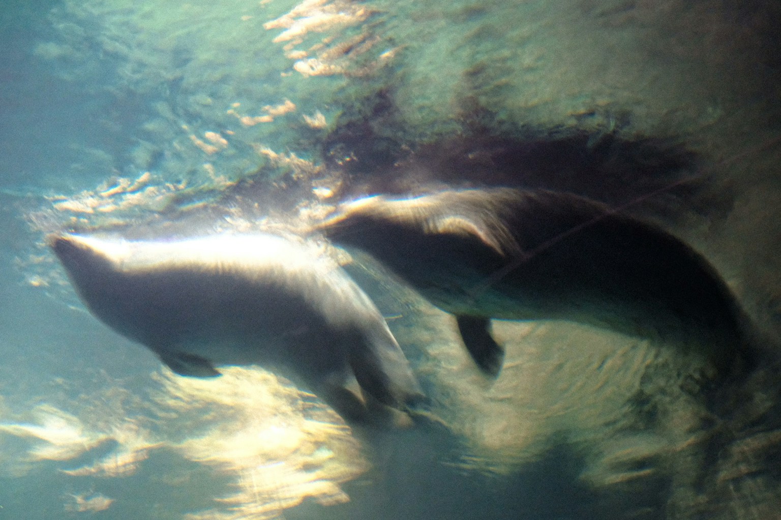 photo-Y0NXYhkQAwzIjNfpktjE-image