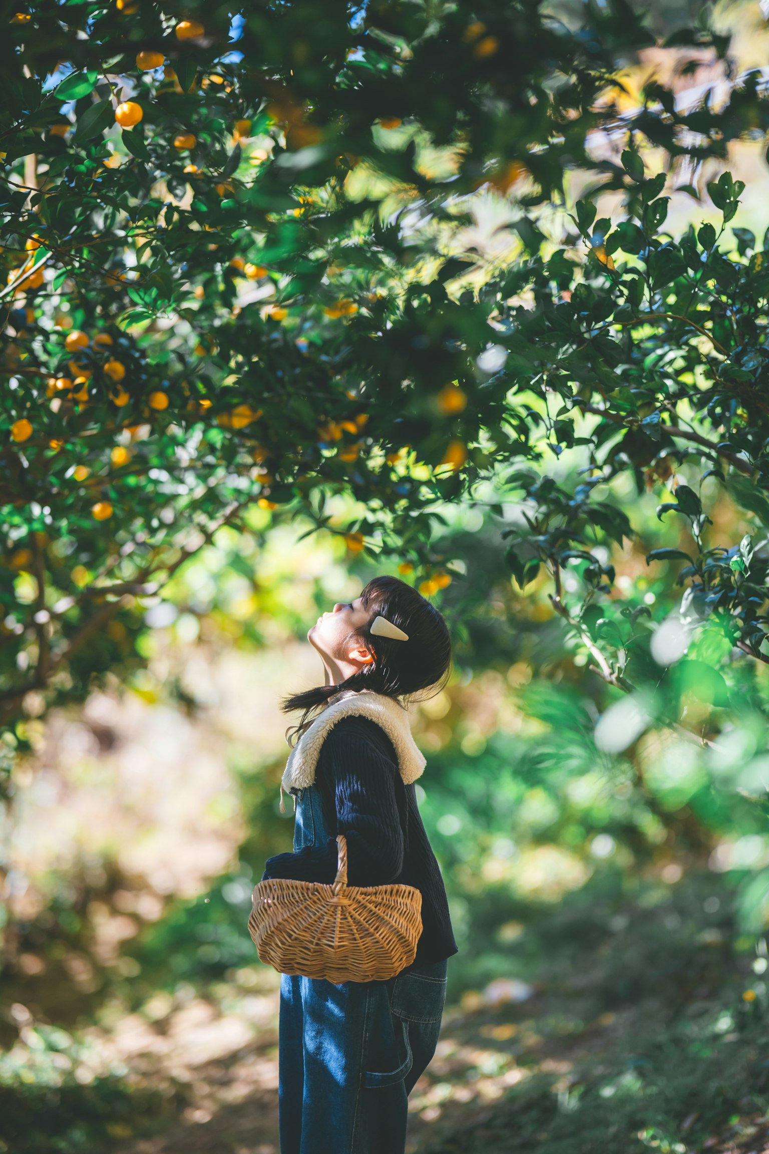 Frau schaut unter einem Orangenbaum nach oben mit sichtbaren Früchten