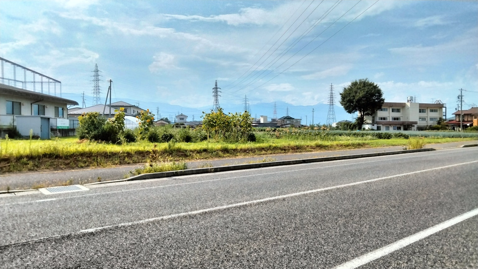 Malerei der Straße mit blauem Himmel und Bergen im Hintergrund mit angrenzenden Gebäuden und Grünflächen