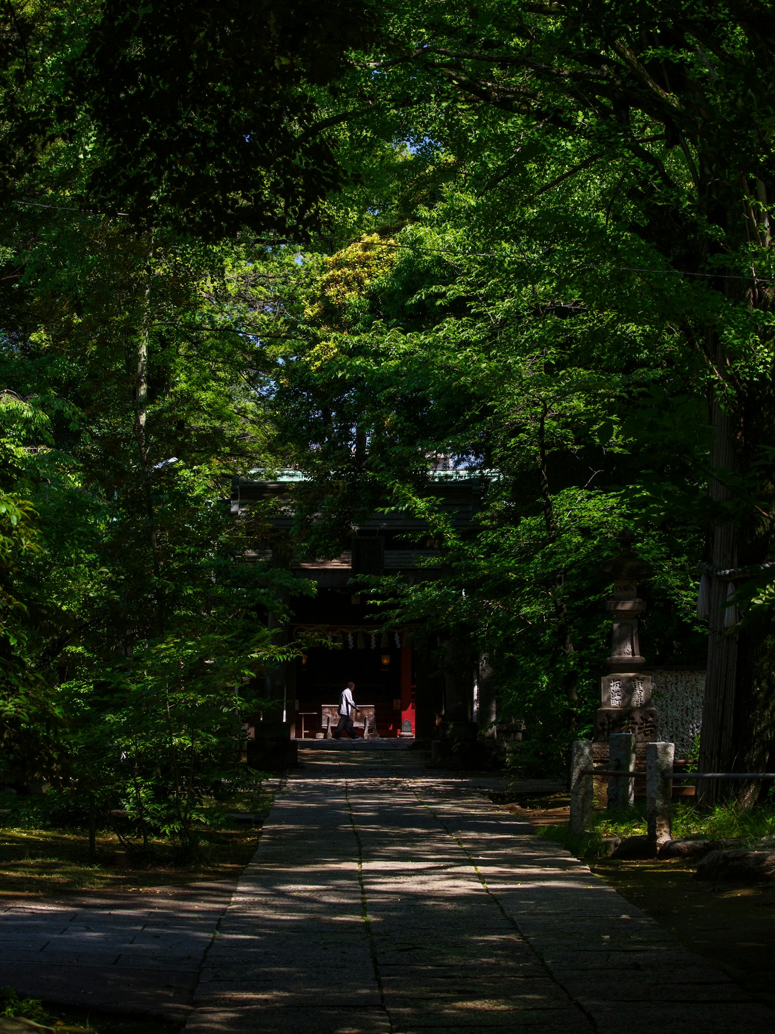 绿树成荫的小径通向可见的神社主殿