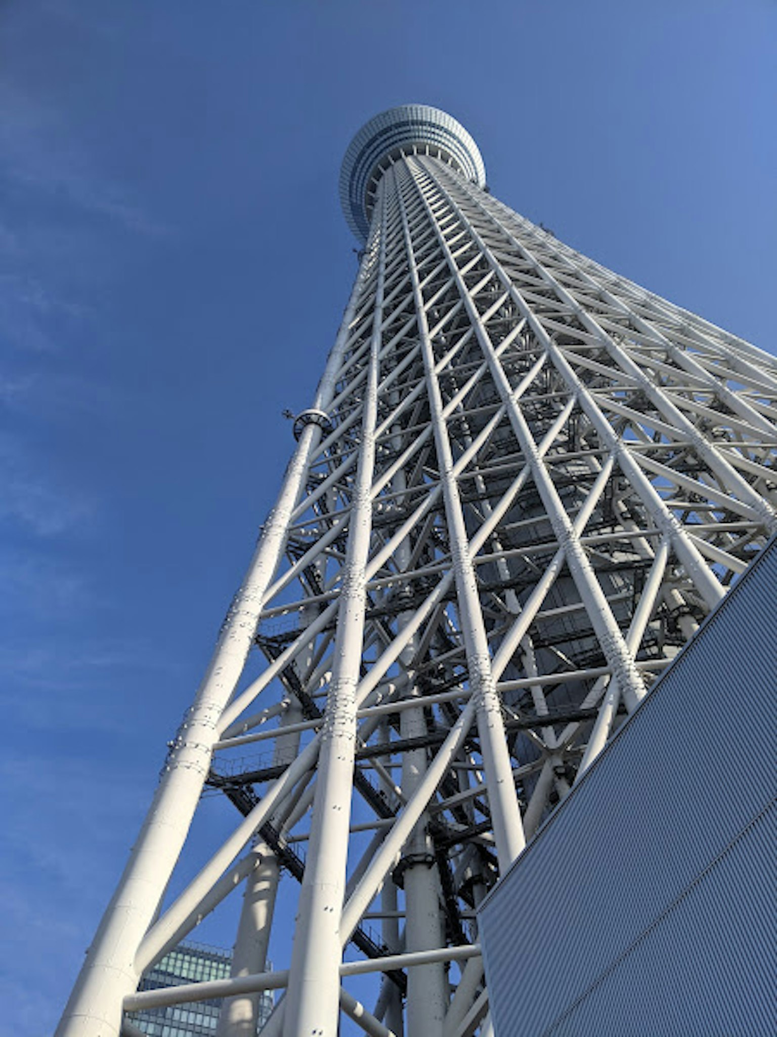 Vista della Tokyo Skytree dal basso con cielo blu chiaro