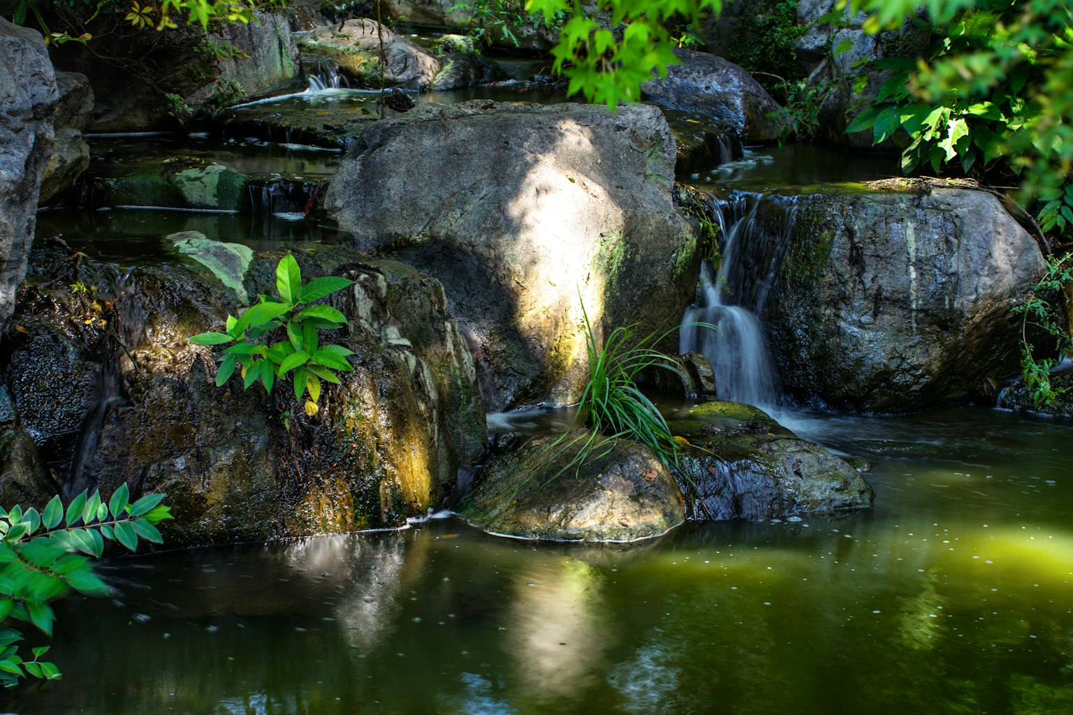 Un paisaje sereno con una pequeña cascada y un estanque rodeado de vegetación exuberante grandes rocas y agua fluyendo