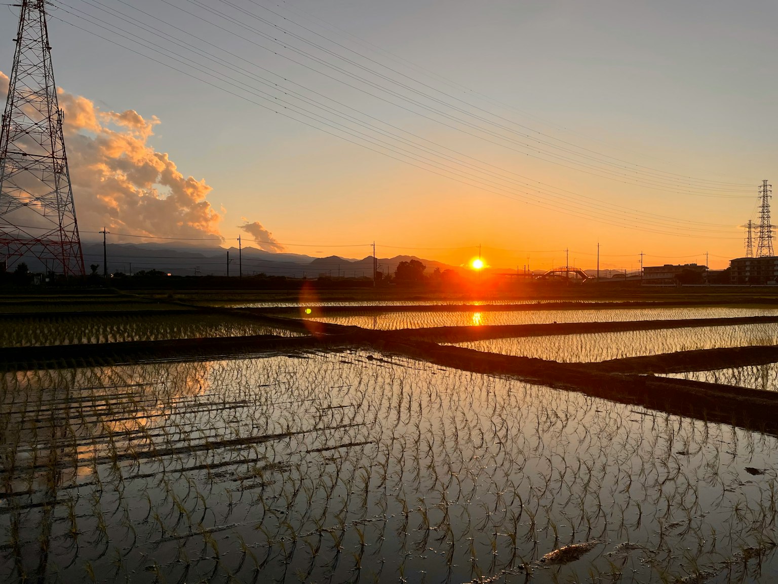 Pemandangan matahari terbenam yang indah memantul di air sawah