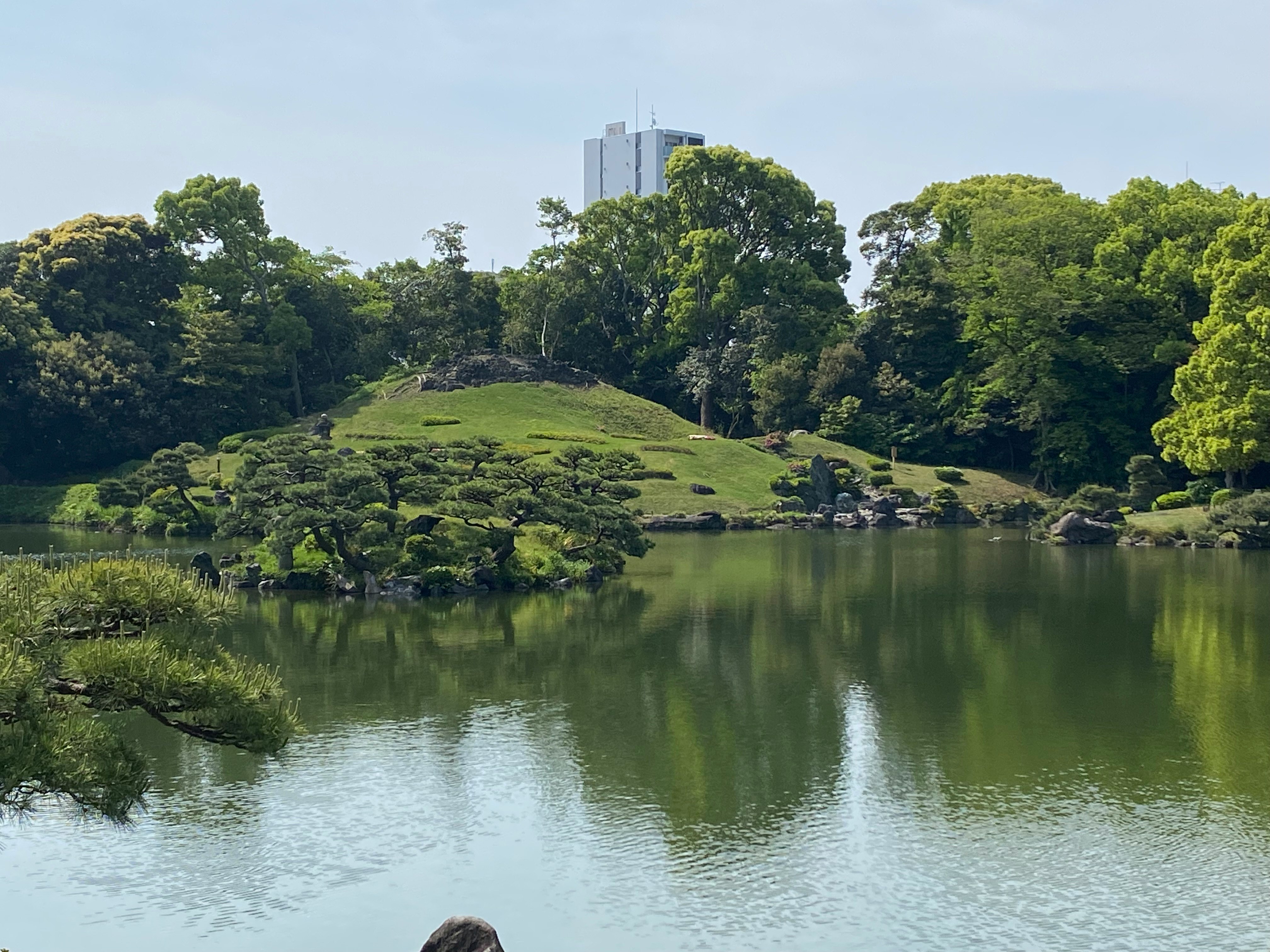 緑の森に囲まれた池と芝生の丘の景色