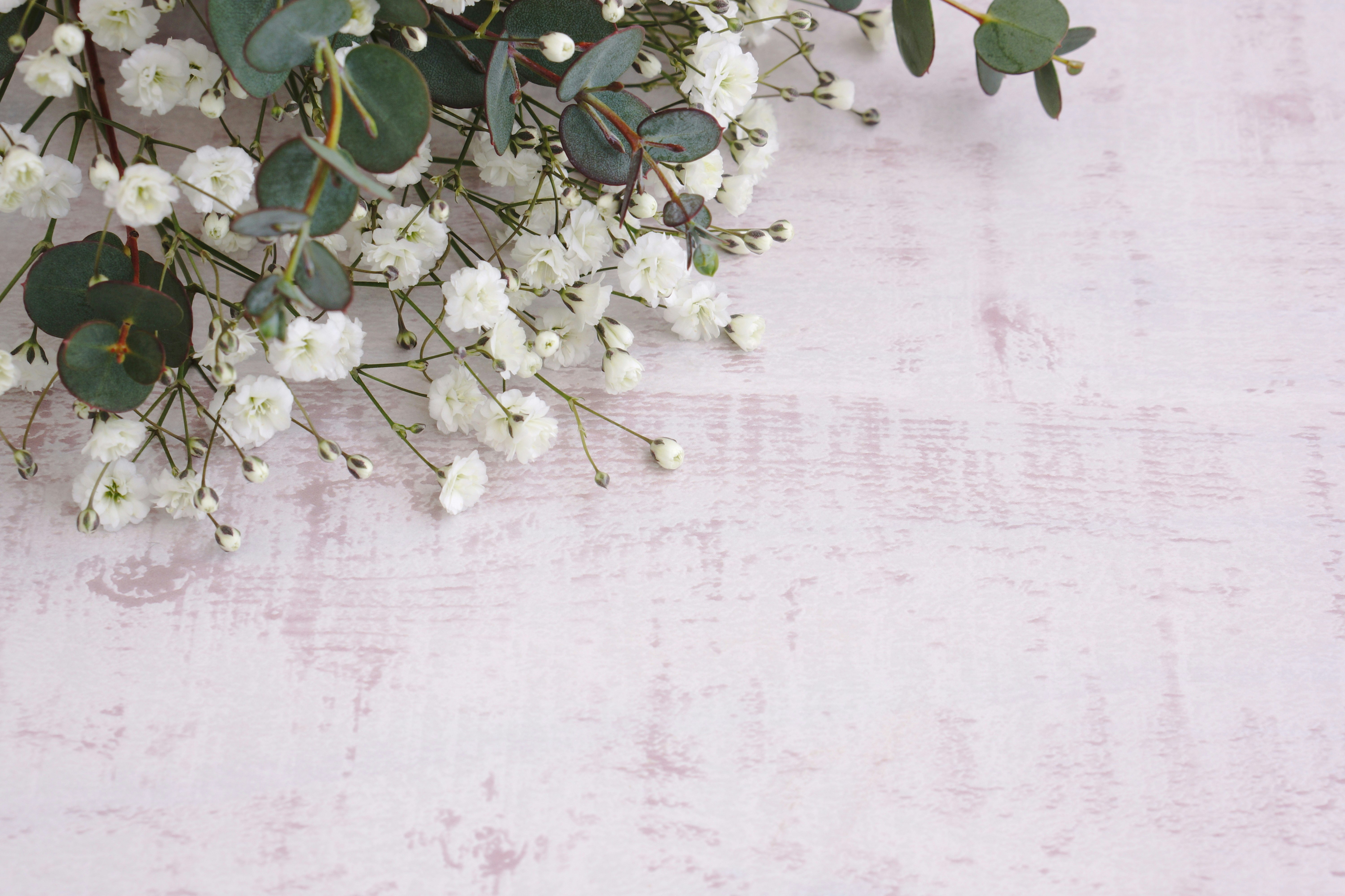 flower arrangement with white blossoms and eucalyptus branches on a soft light background