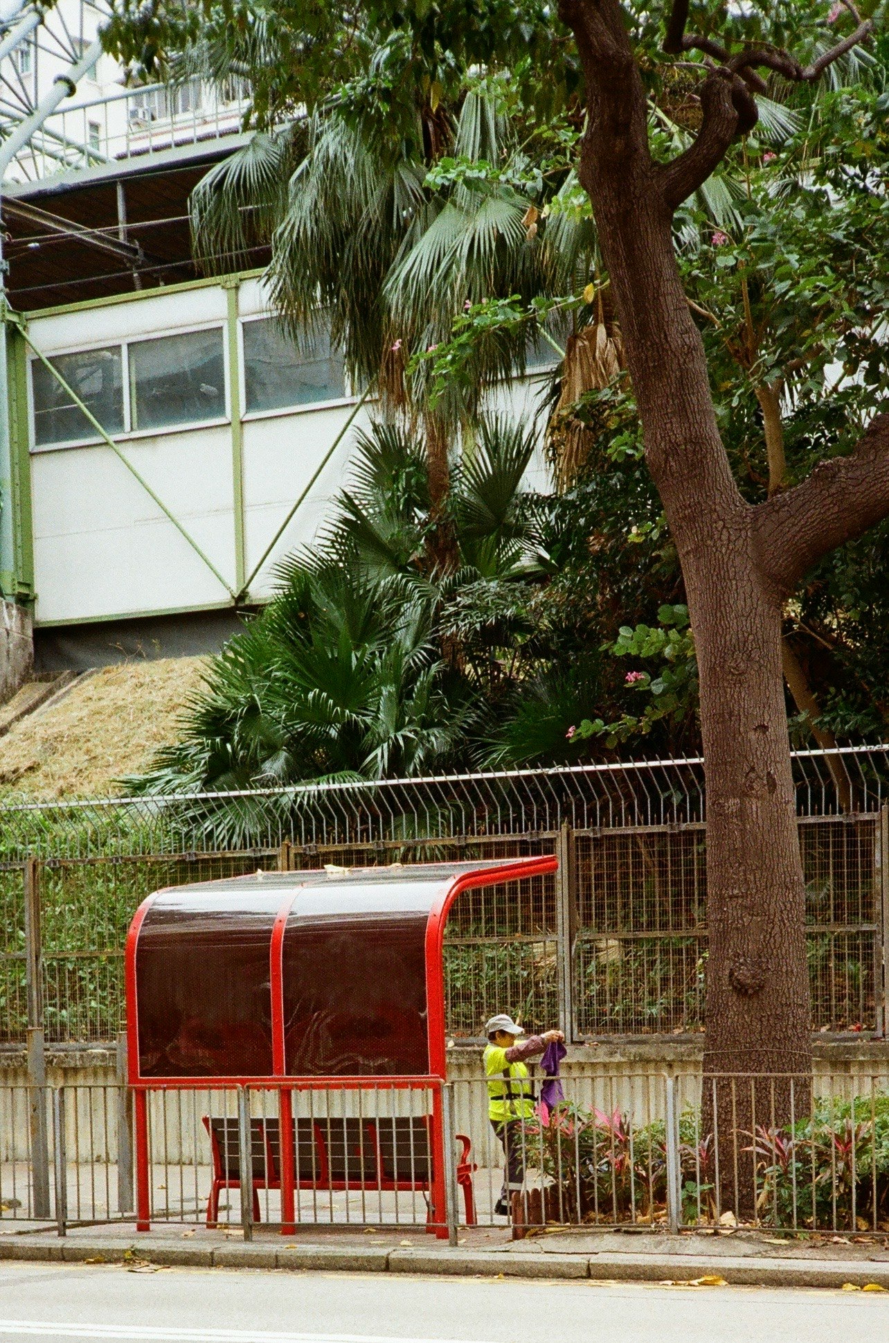 動物園の柵の前を走る赤いミニ列車とヤシの木のある屋外風景