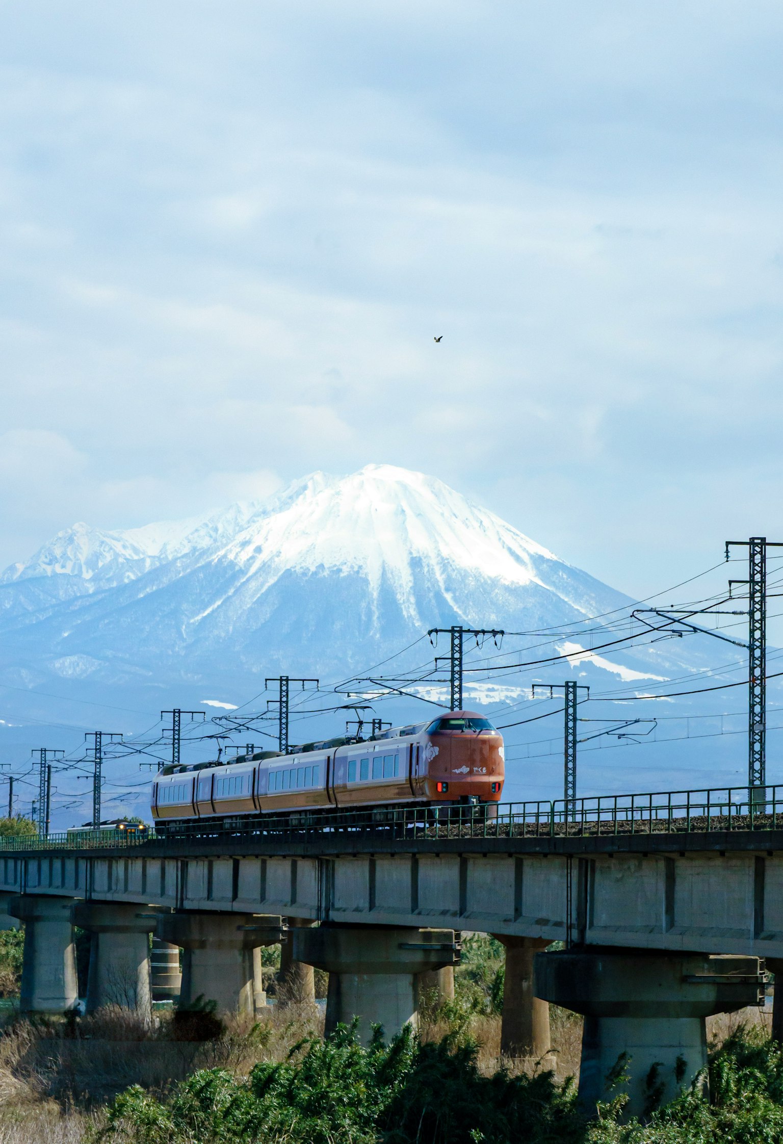 Train crossing a bridge with snow-capped mountain in the background