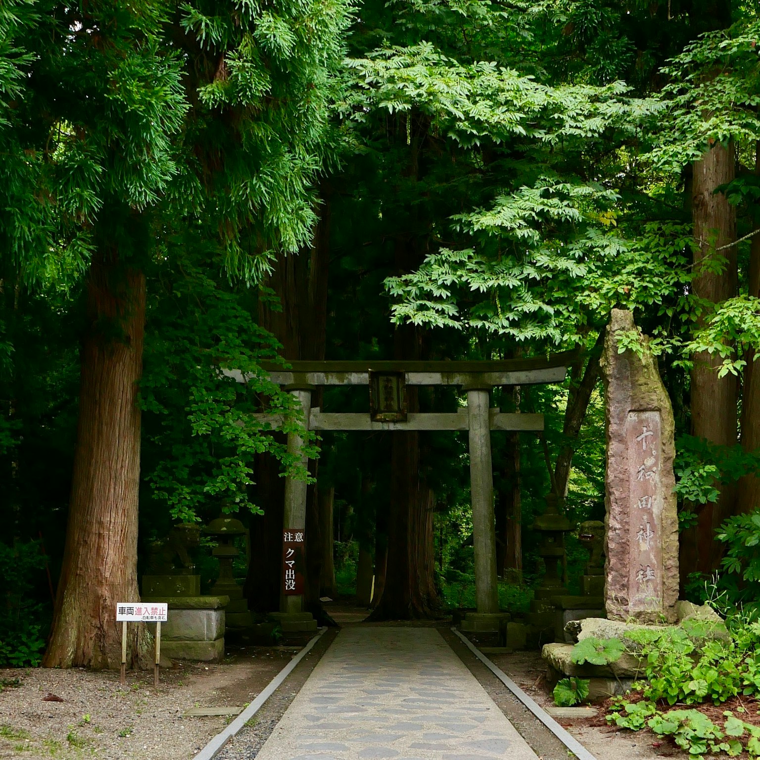 Pintu gerbang torii dikelilingi oleh pepohonan hijau subur dan monumen batu