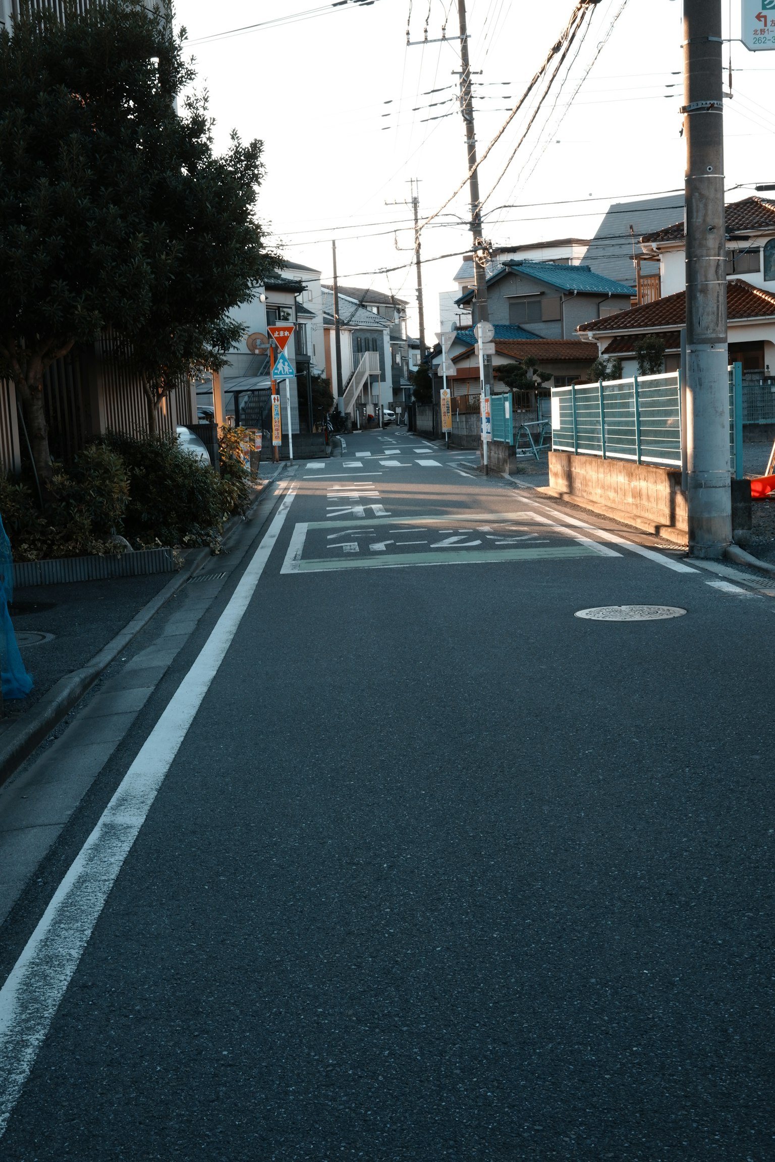 宁静的住宅街道和房屋